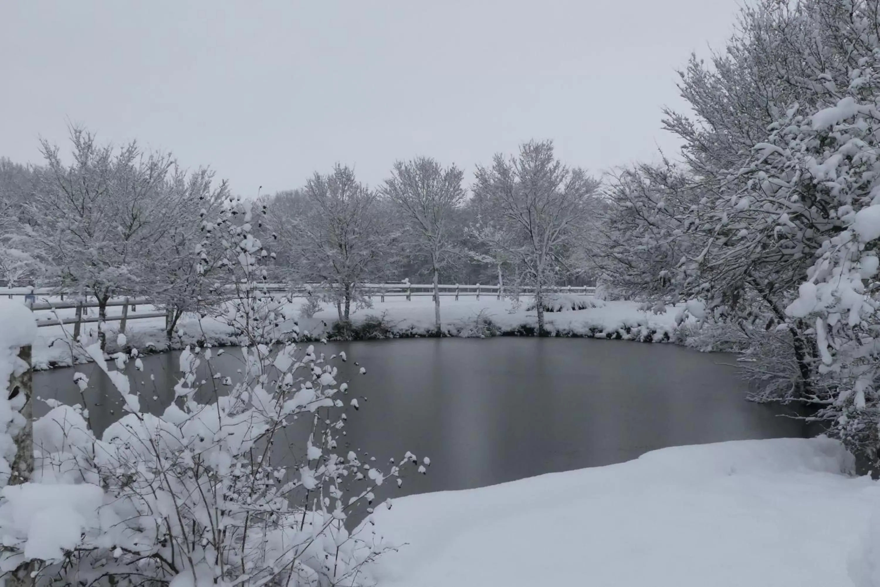 Garden view, Winter in Chambres et Table d'Hôtes Les Machetières