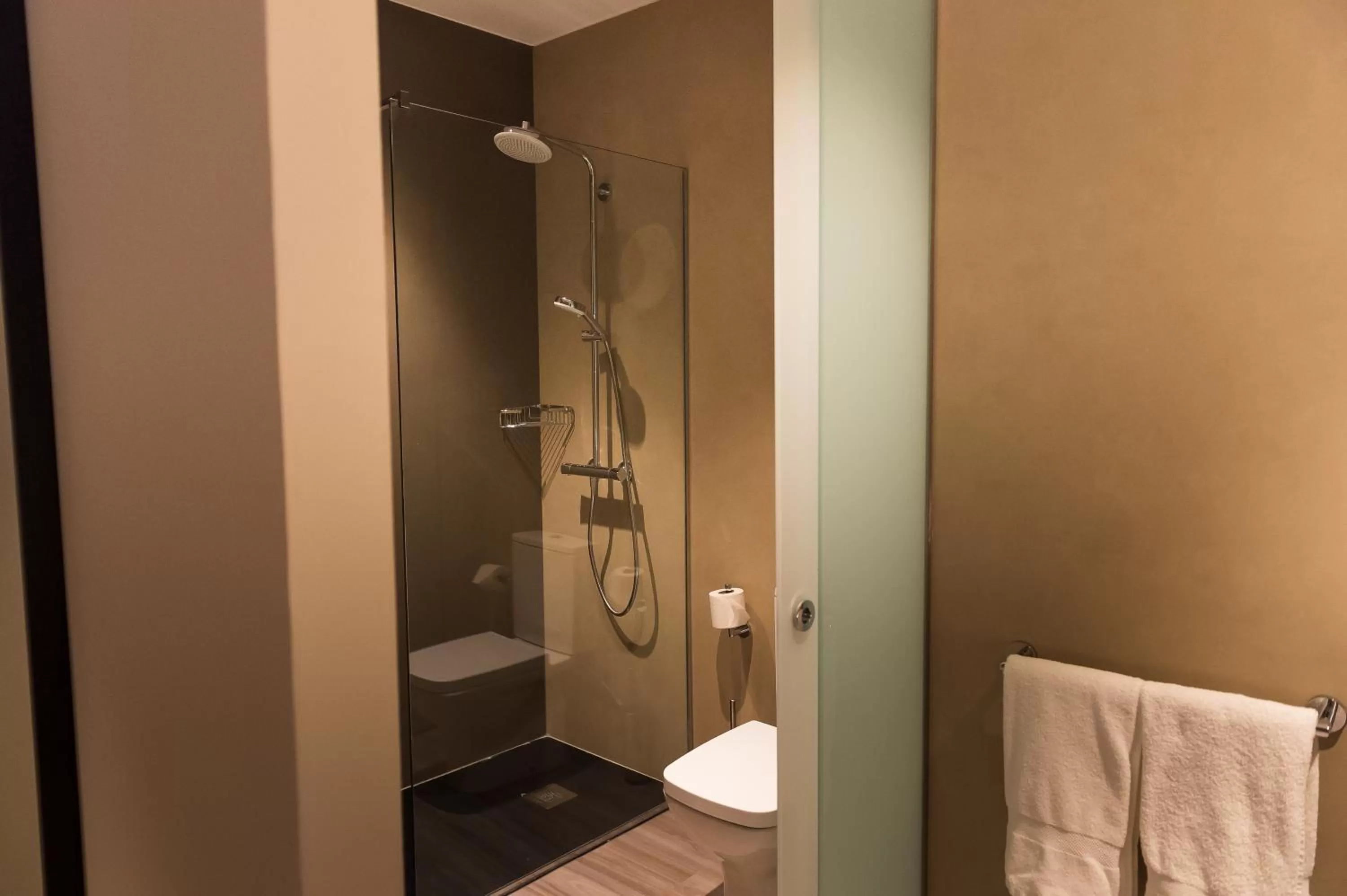 Toilet in Palacio Valderrabanos