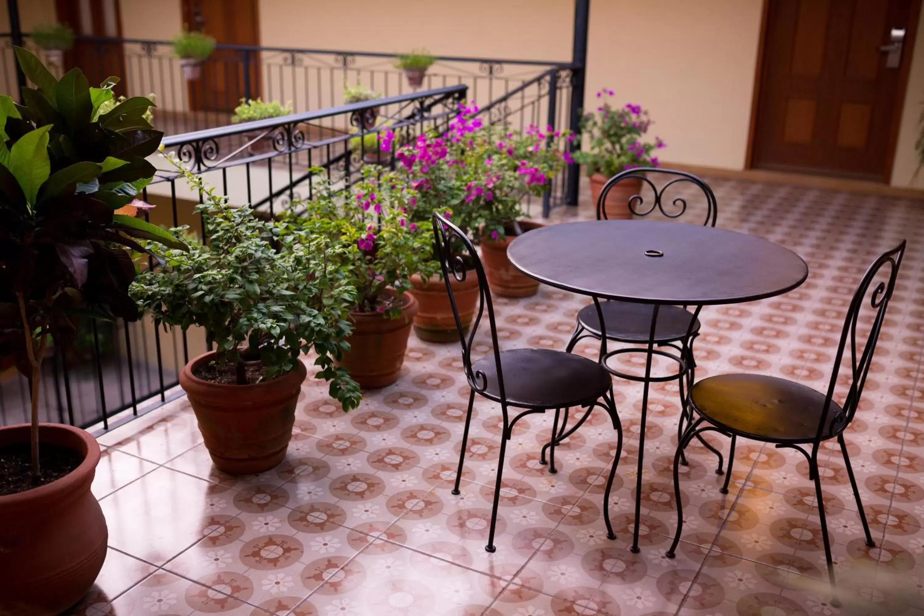 Patio, Balcony/Terrace in Hotel La Casona de Don Jorge