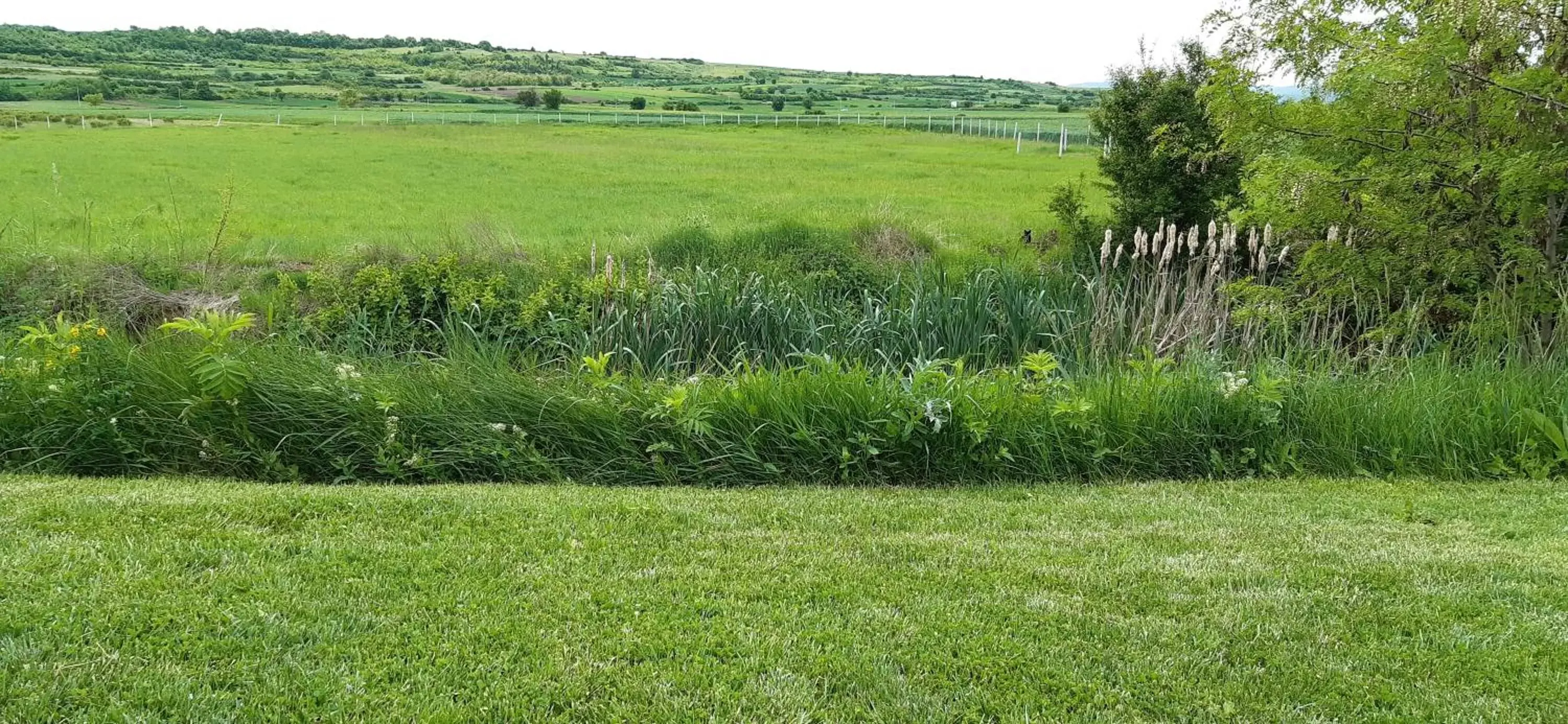 View (from property/room) in Hotel Gracanica View (from property/room) in Hotel Gracanica