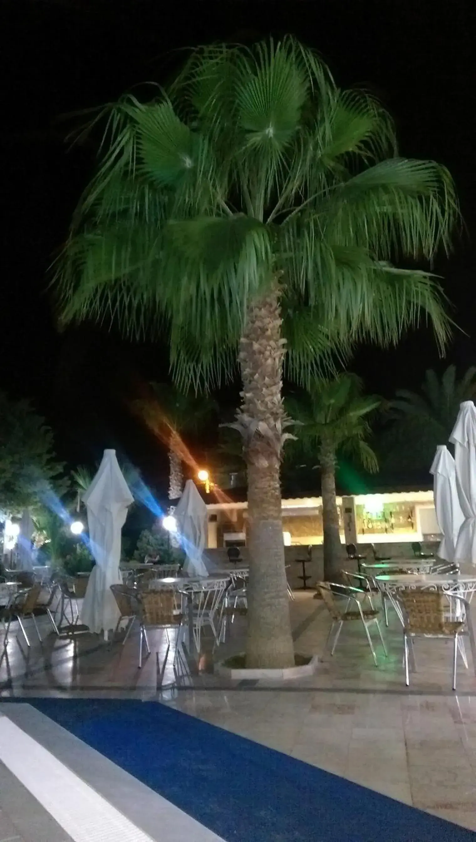 Night, Patio/Outdoor Area in Hotel Billurcu