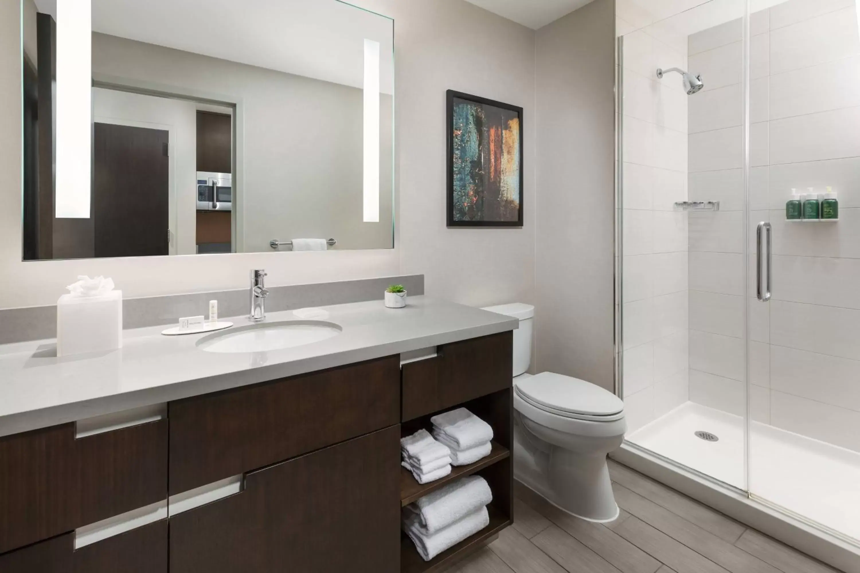 Bathroom in Residence Inn by Marriott New York Downtown Manhattan/World Trade Center Area