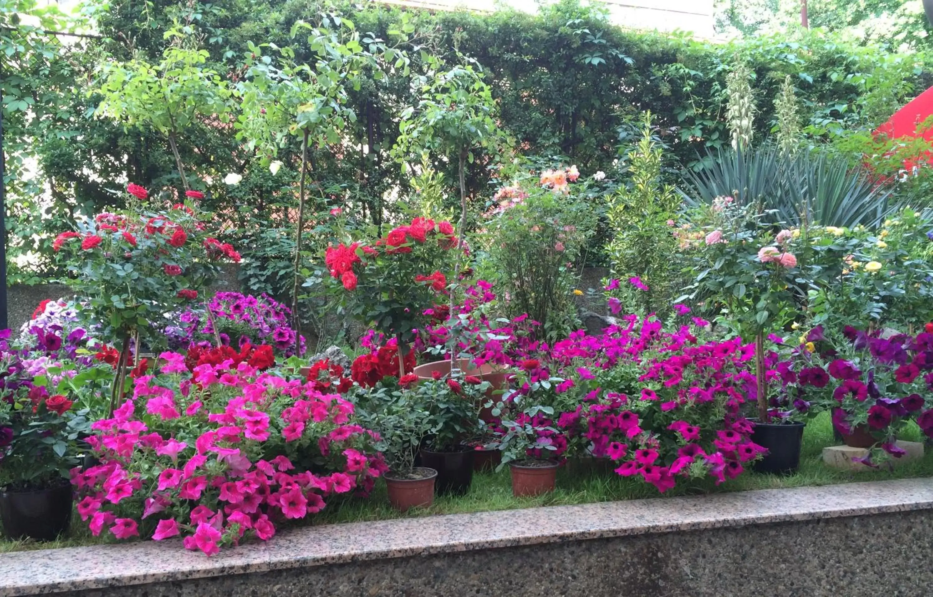 Spring, Garden in Hotel Rex