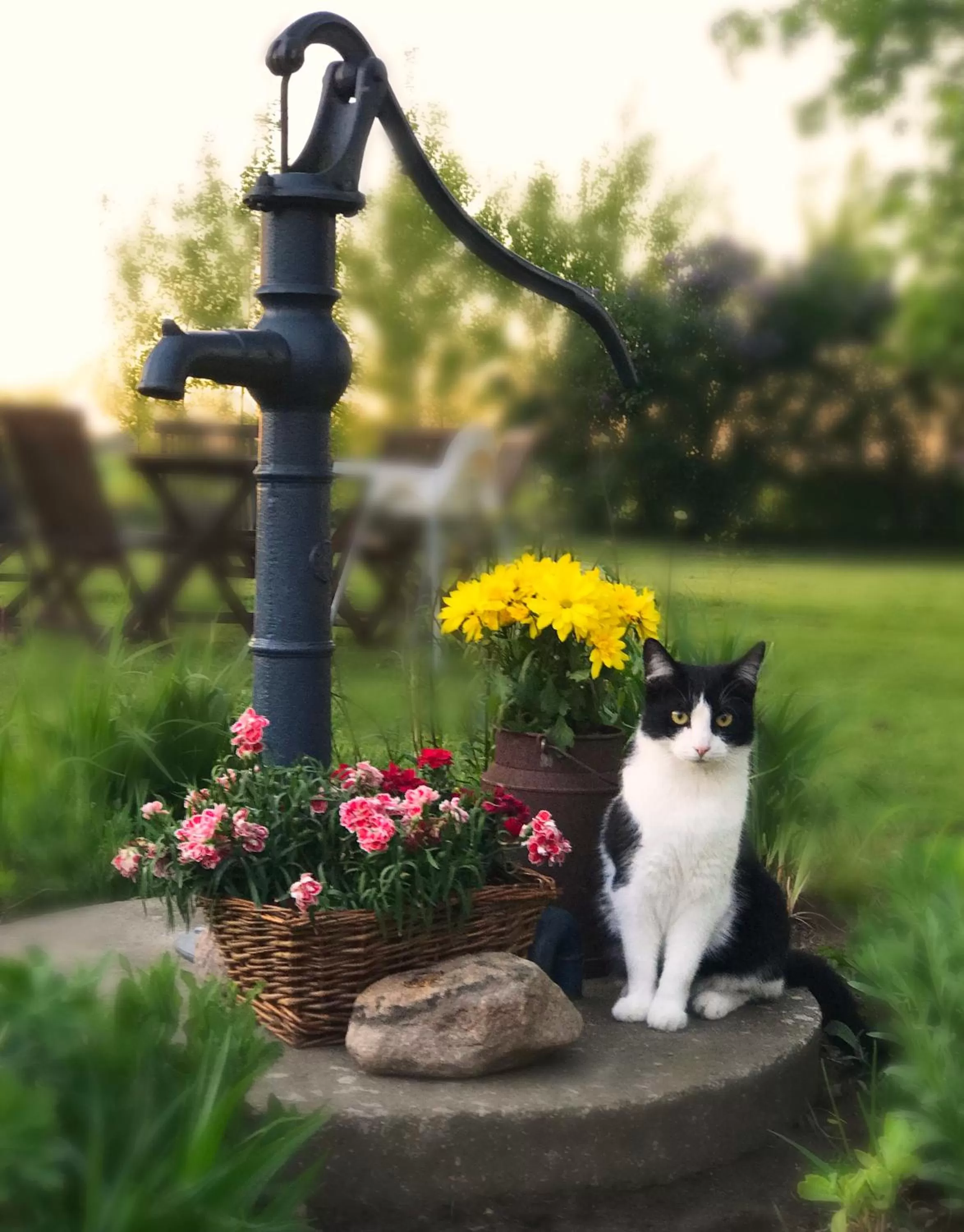 Garden in Tryde 1303 B&B på Österlen