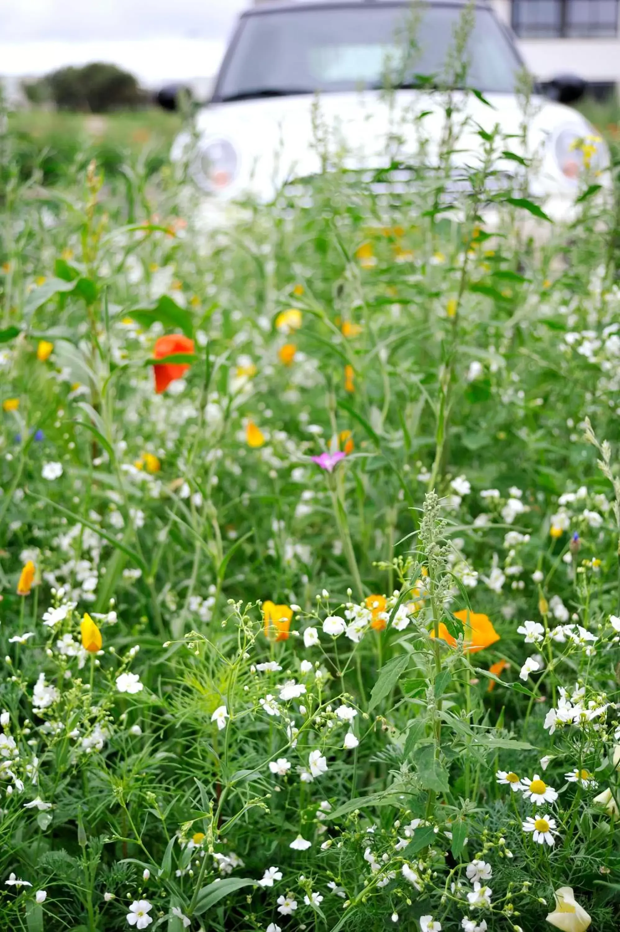 Garden in Eco Nuit La Baule Guerande