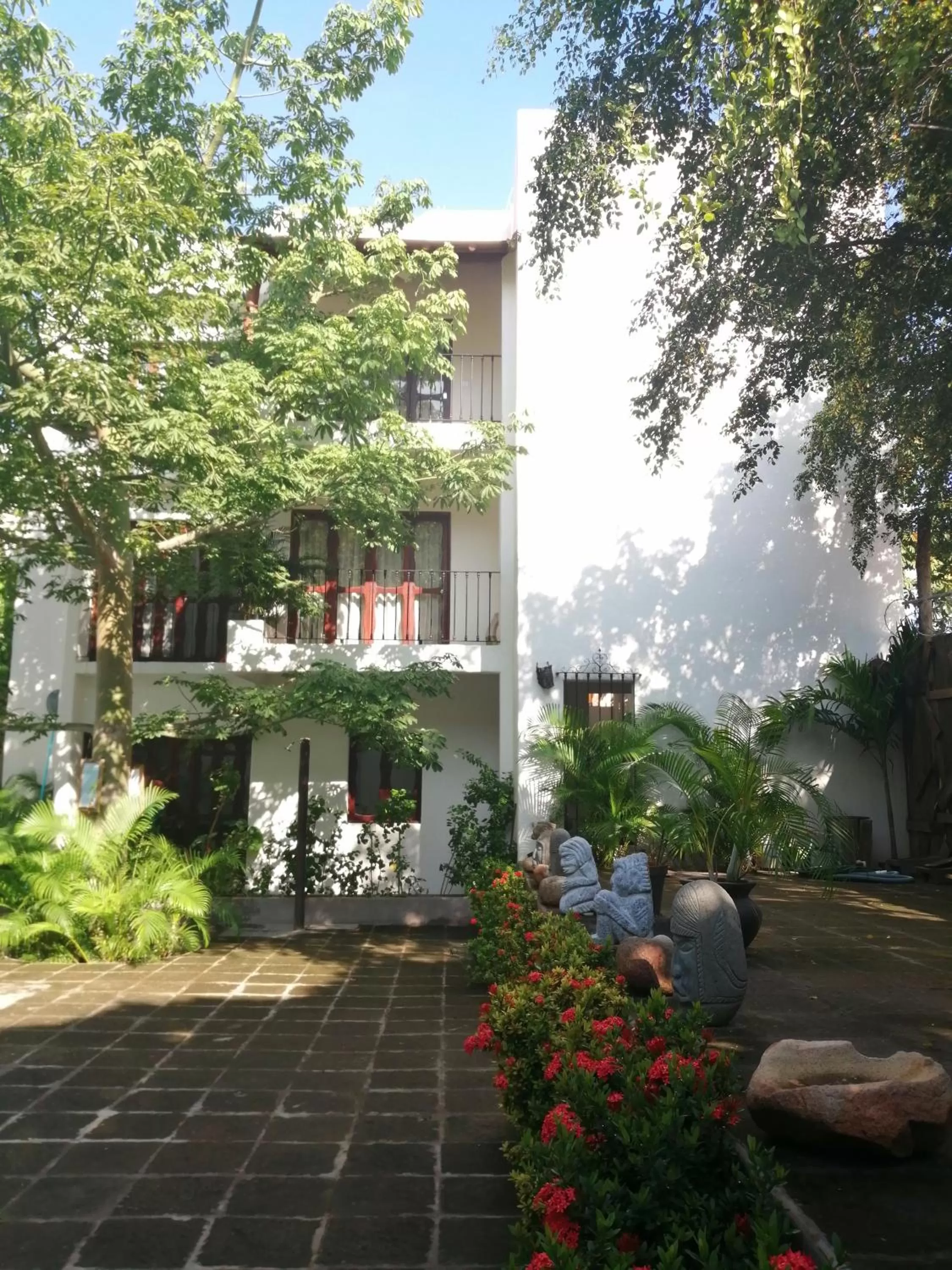 Garden in Ceiba Studios