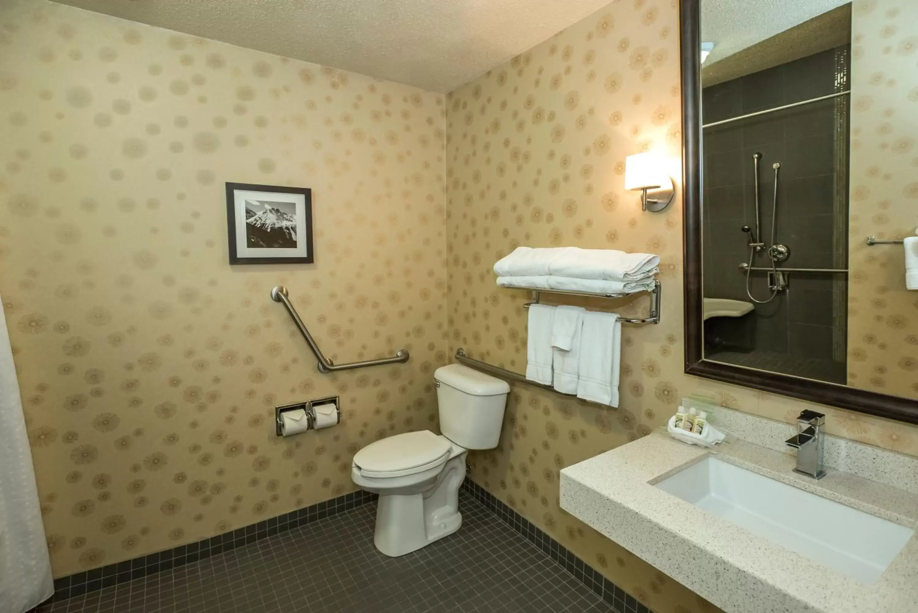 Photo of the whole room, Bathroom in Holiday Inn Lethbridge, an IHG Hotel