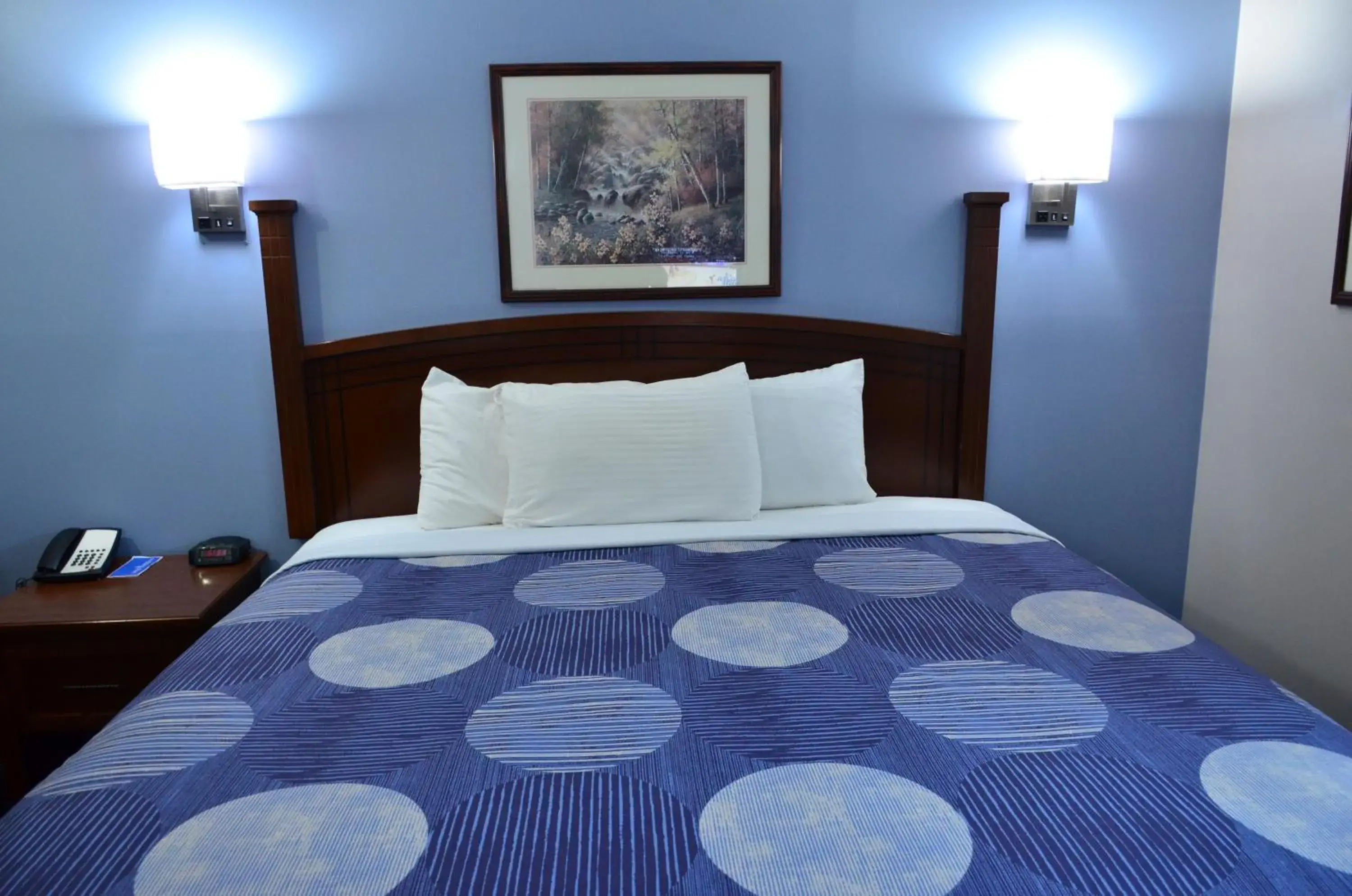 Bed in Rodeway Inn Augusta West