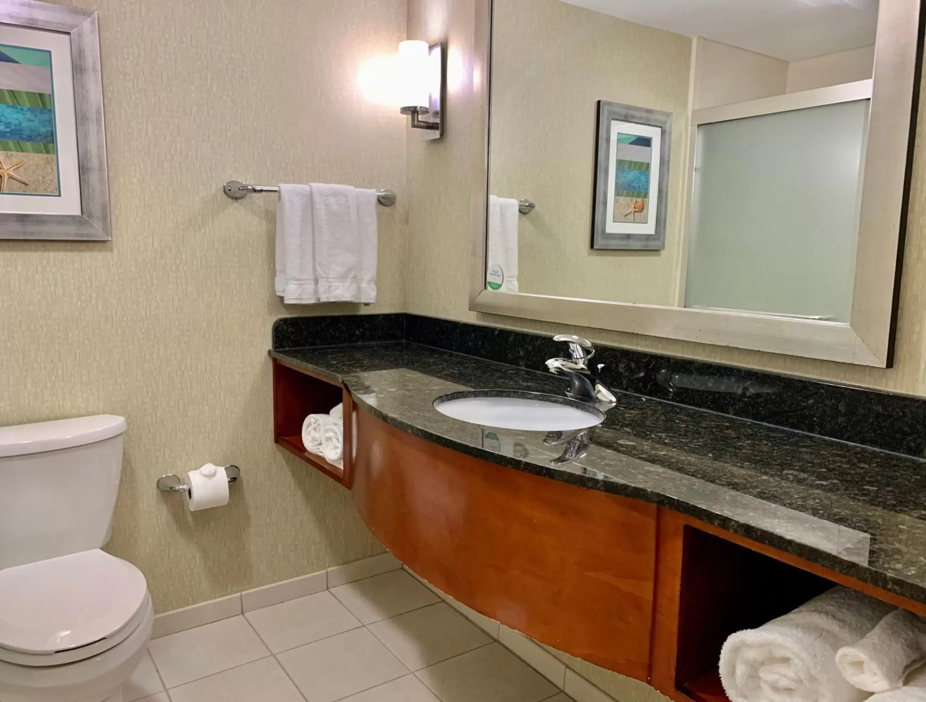 Bathroom in Holiday Inn & Suites Virginia Beach - North Beach, an IHG Hotel