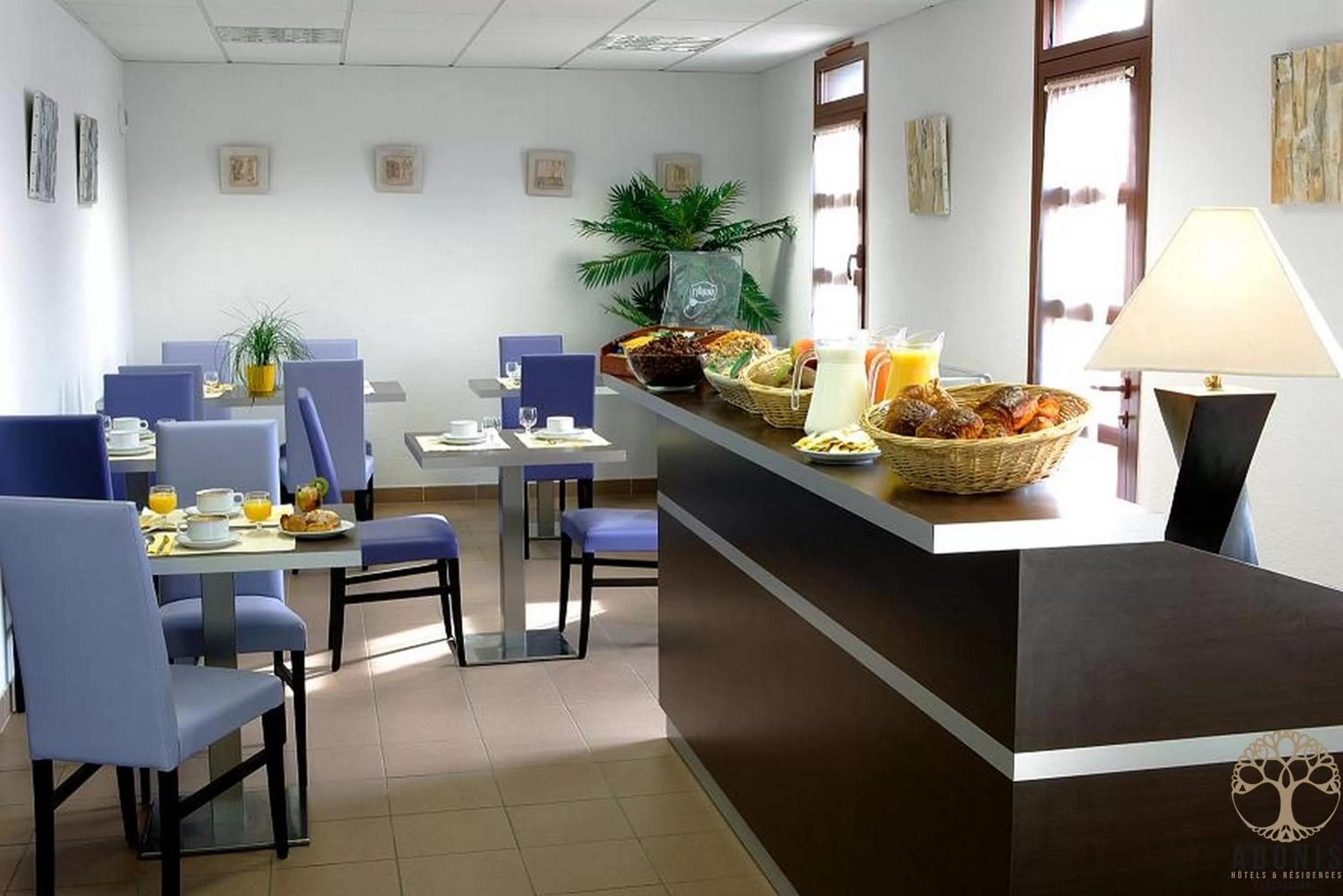 Breakfast in Adonis Carcassonne