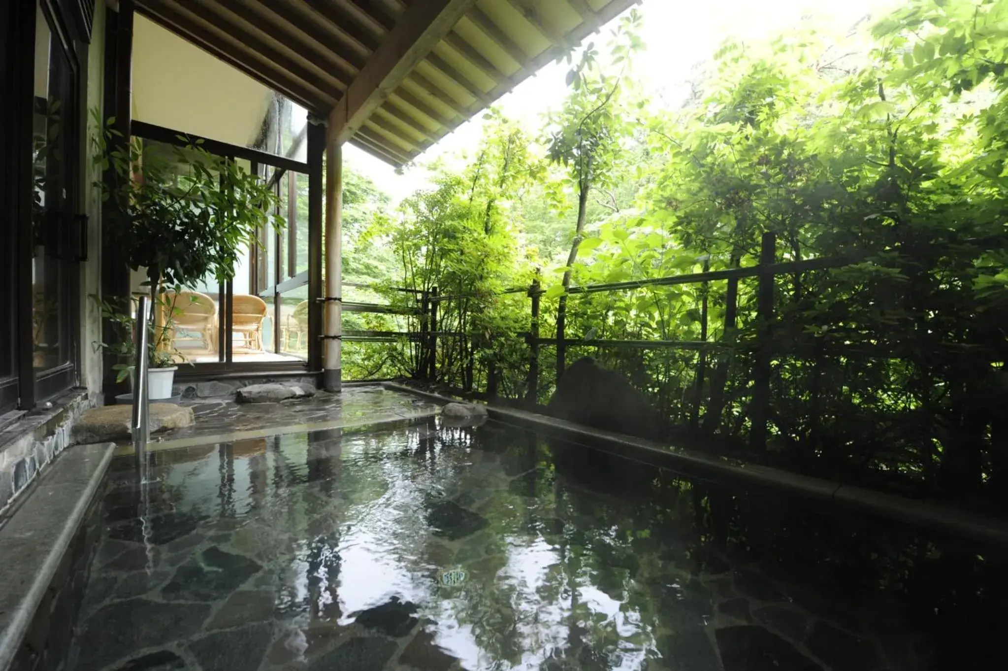 Hot Spring Bath, Swimming Pool in Shirasagiyu Tawaraya