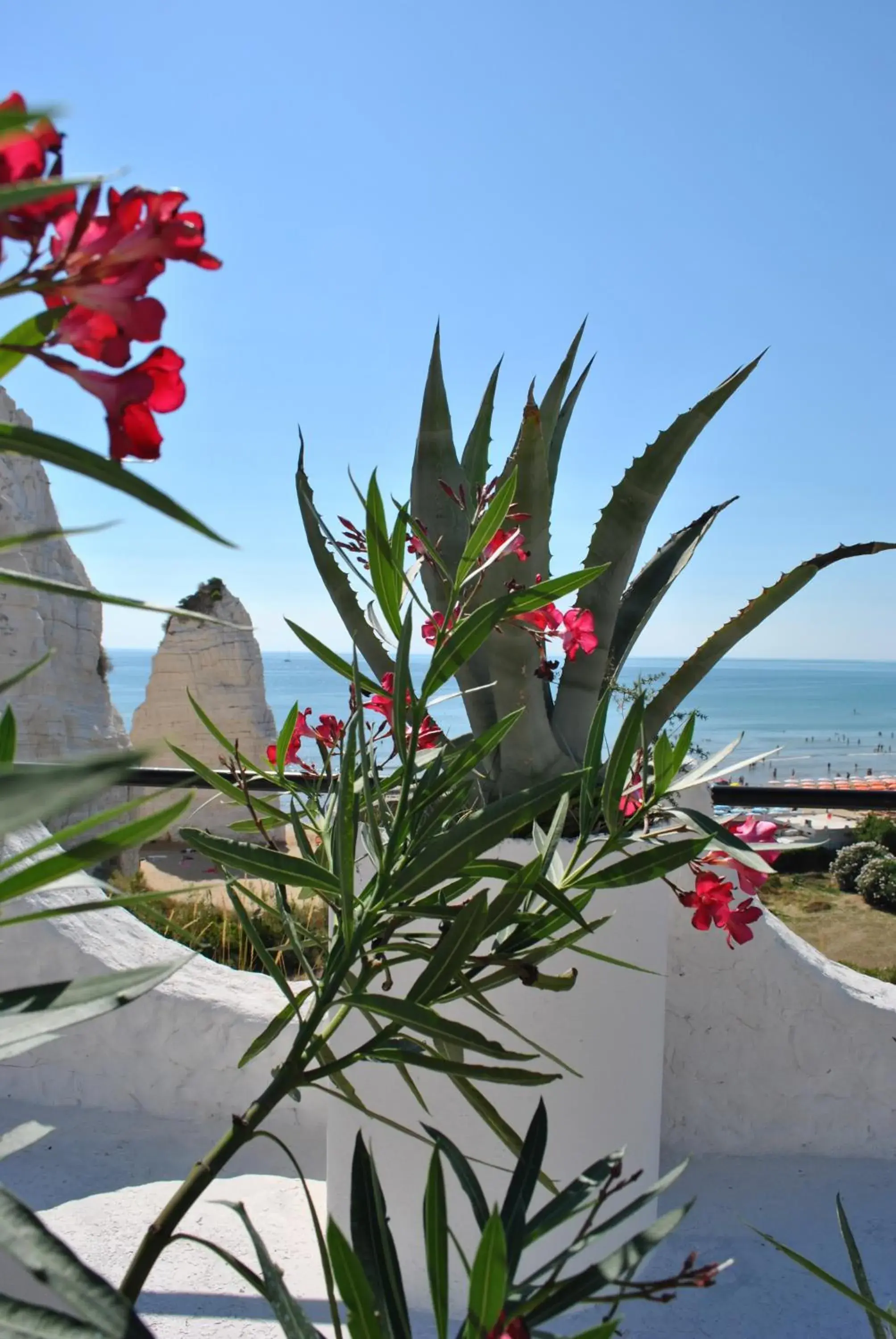 Sea view in Hotel Falcone