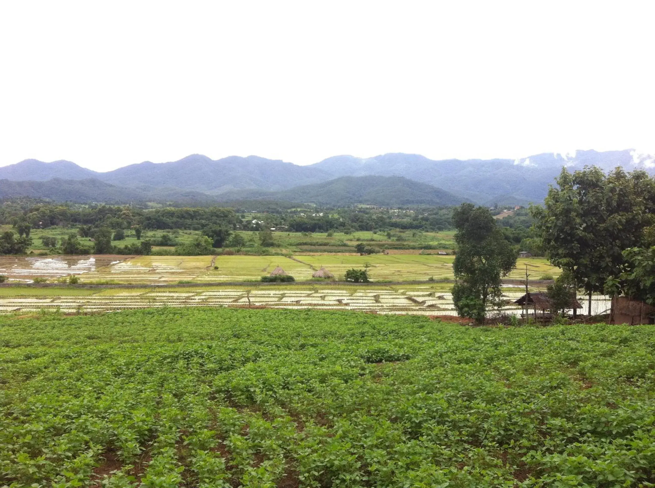 Other in Chang Pai Resort