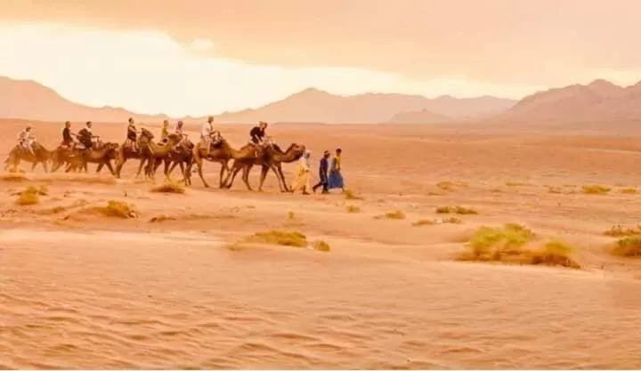 Activities in Riad Dar Attika