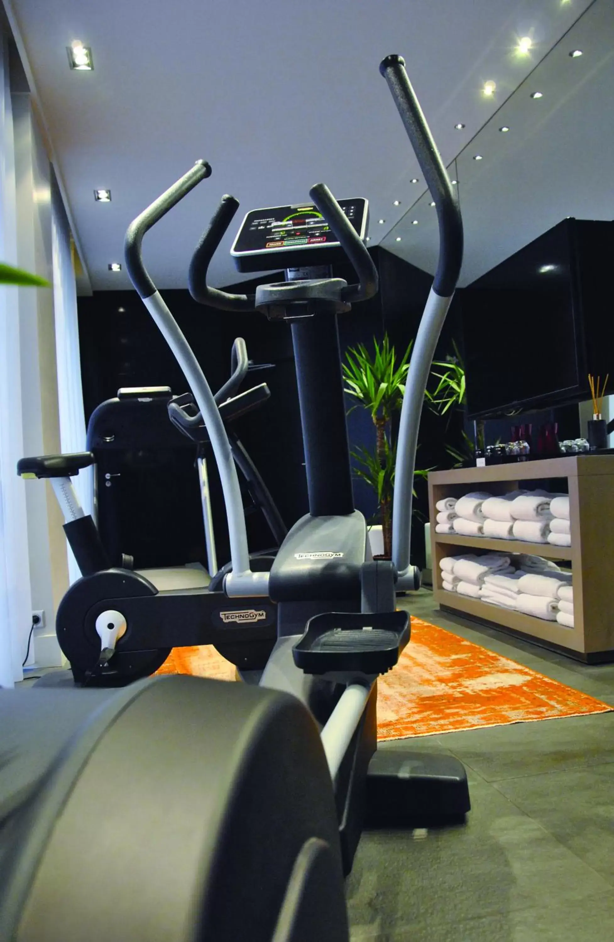 Fitness centre/facilities, Fitness Center/Facilities in Park Hôtel Grenoble - MGallery