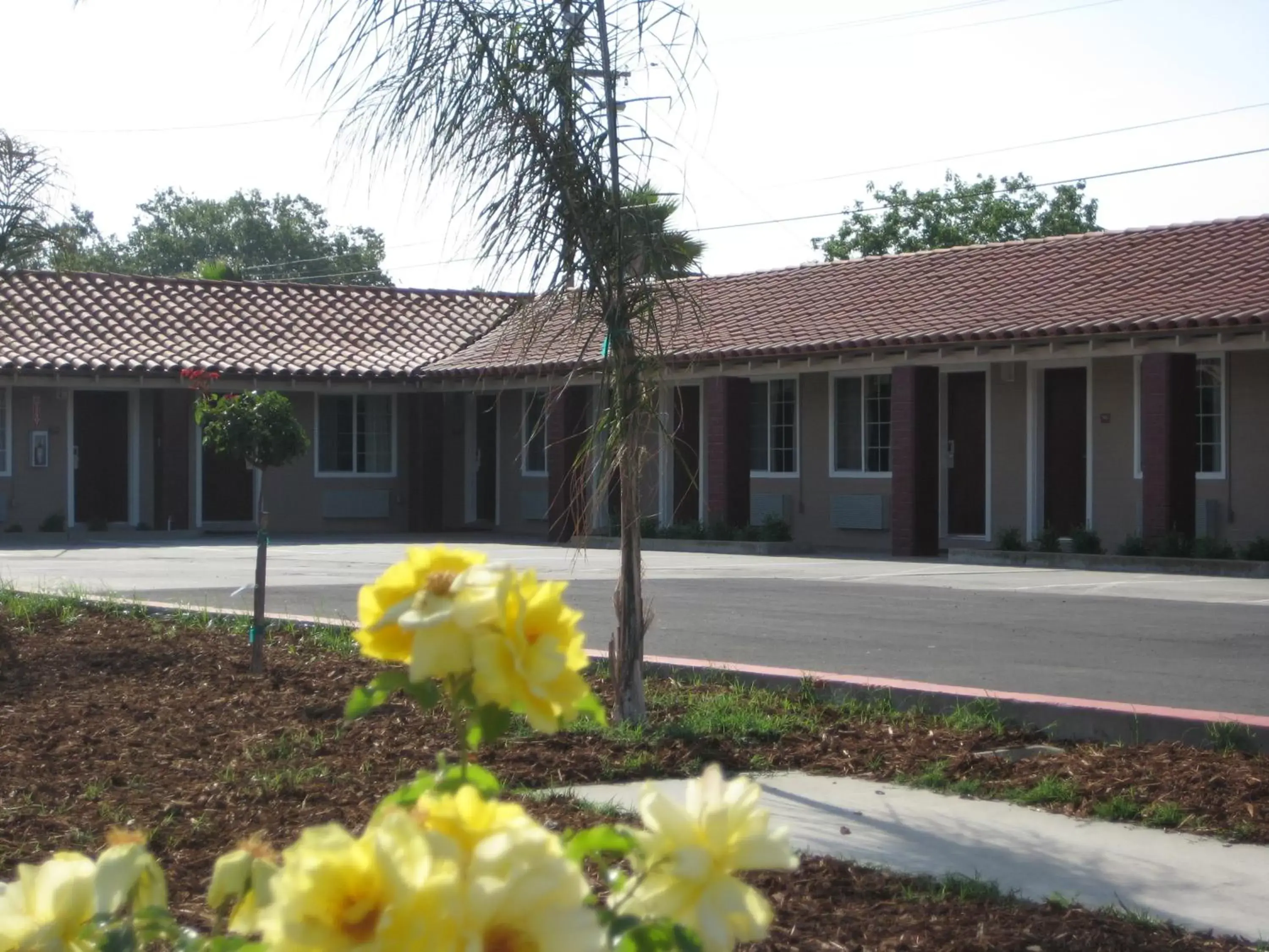 Property building in Americas Best Value Inn - Porterville Property building in Americas Best Value Inn - Porterville
