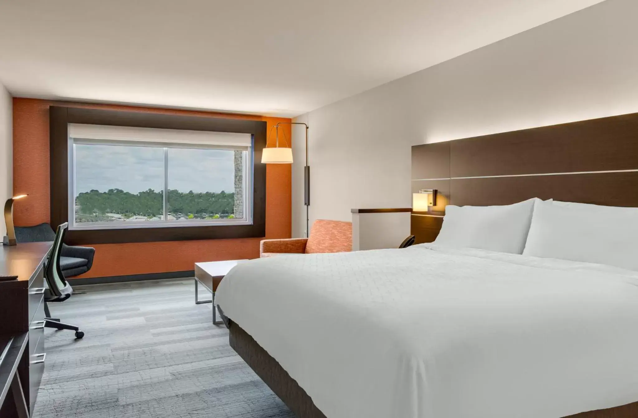 Photo of the whole room, Bed in Holiday Inn Express & Suites Sanford - Lake Mary, an IHG Hotel