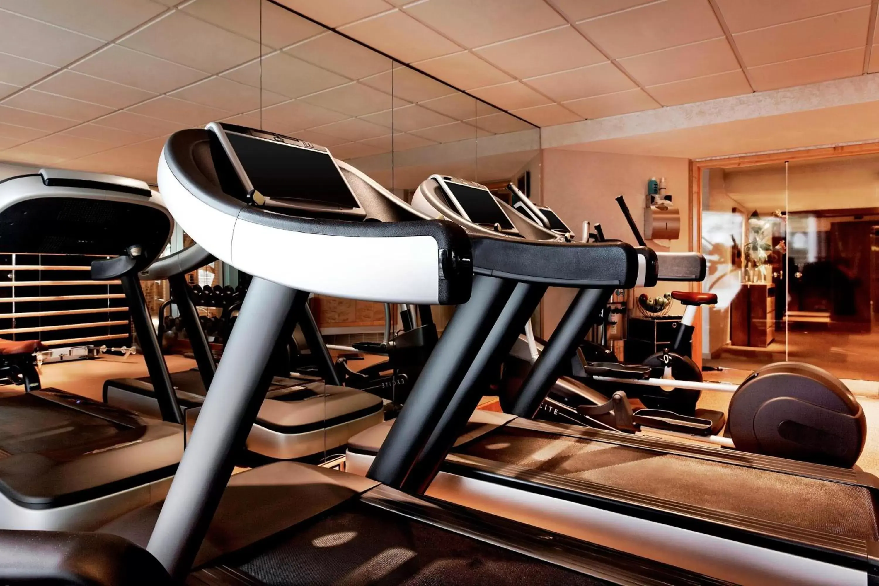 Fitness centre/facilities, Fitness Center/Facilities in Hotel President Wilson, a Luxury Collection Hotel, Geneva