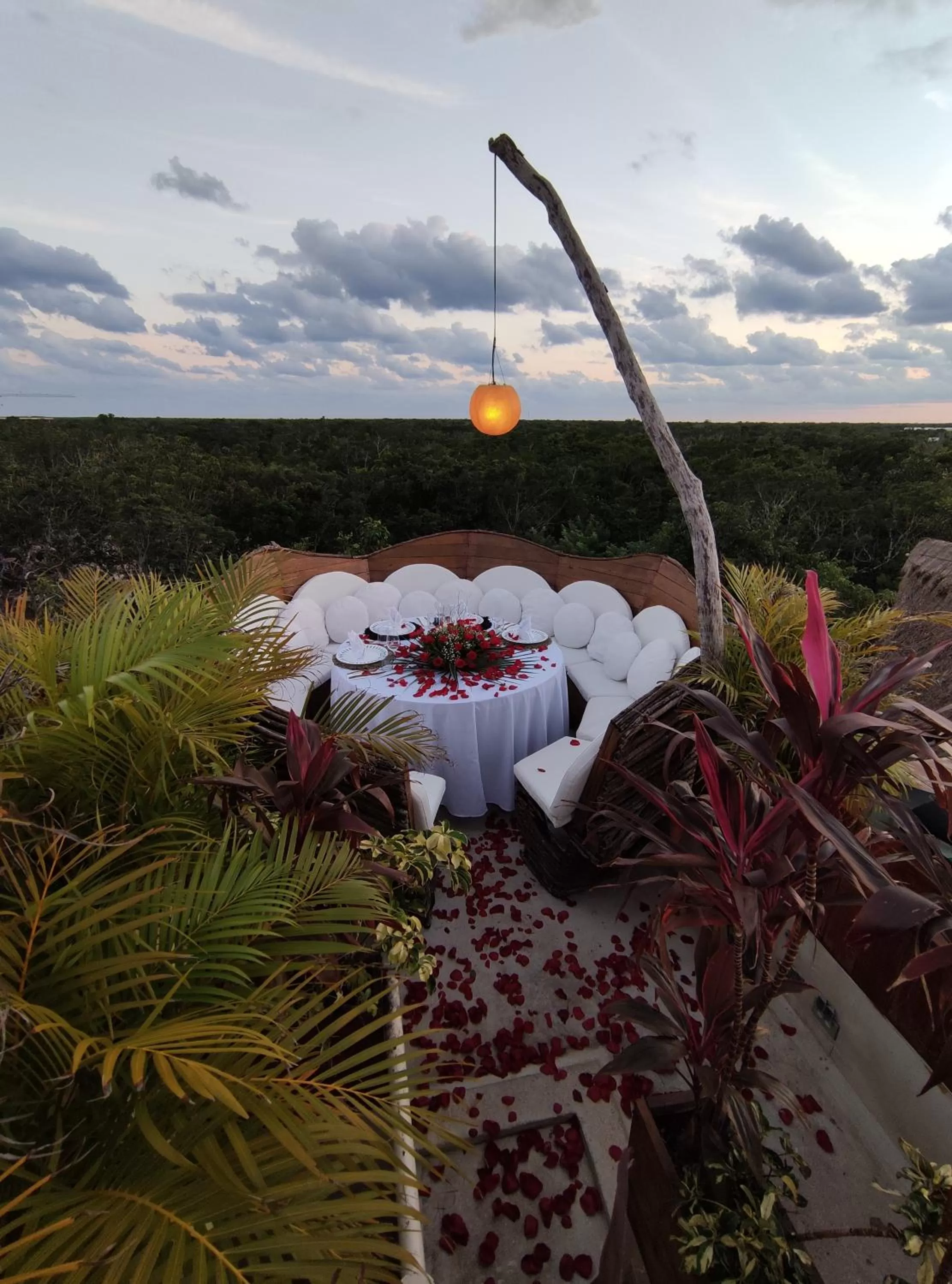 Restaurant/places to eat in Orchid House Tulum Jungle