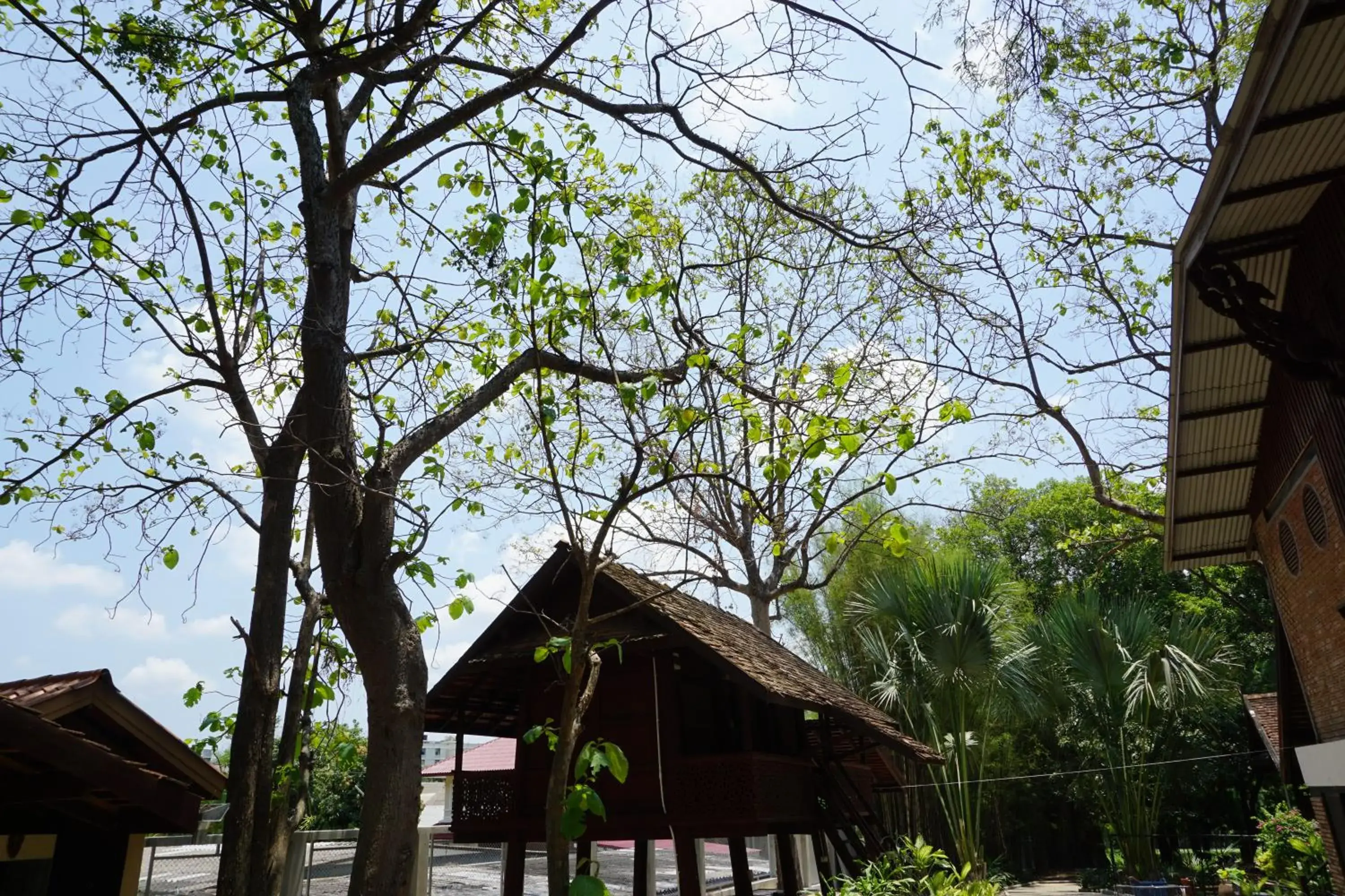 View (from property/room), Property Building in Insight Hostel 