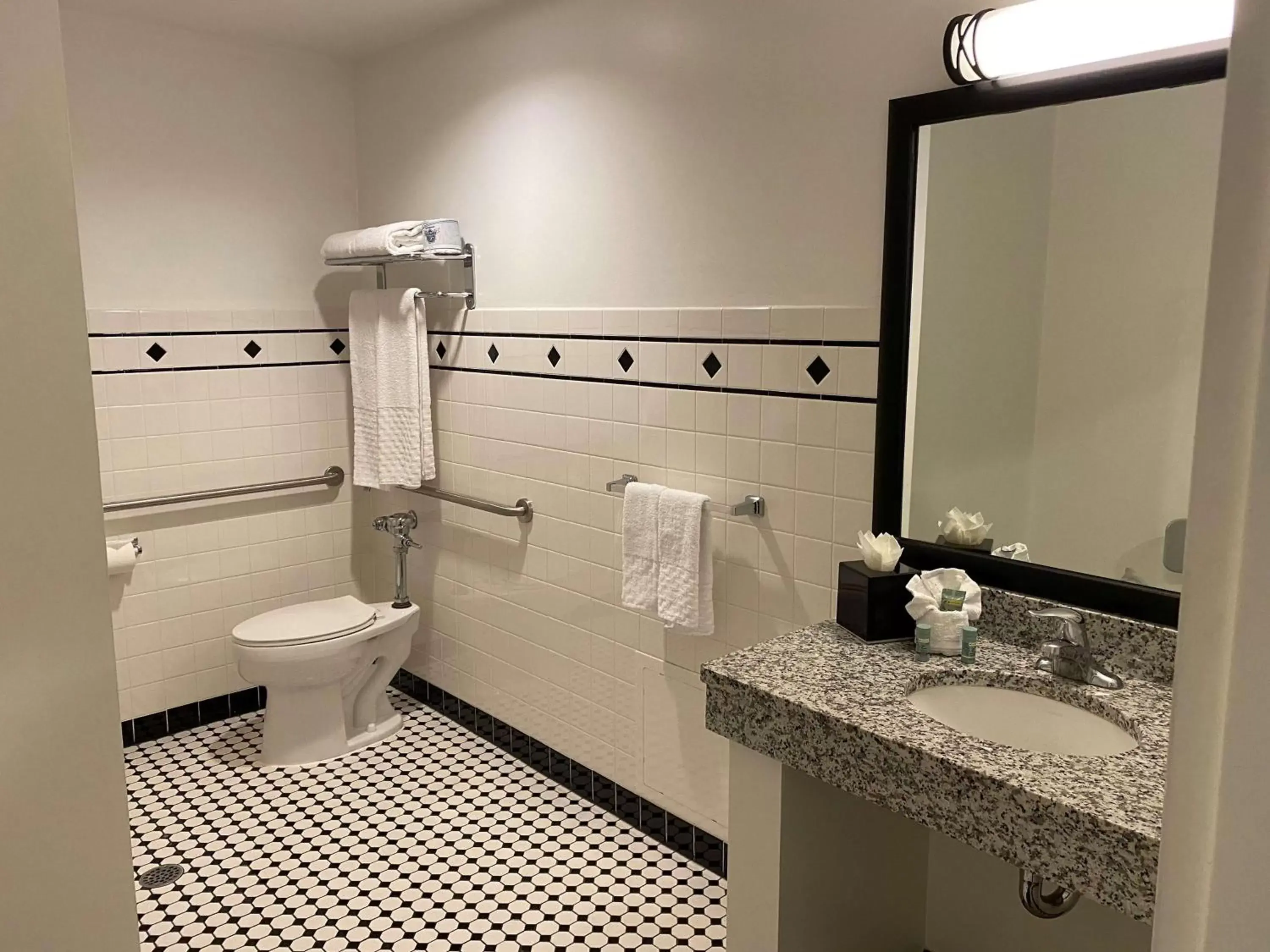 Deluxe King Suite with Roll-In Shower - Disability Access in Best Western Chicago Downtown-River North Deluxe King Suite with Roll-In Shower - Disability Access in Best Western Chicago Downtown-River North