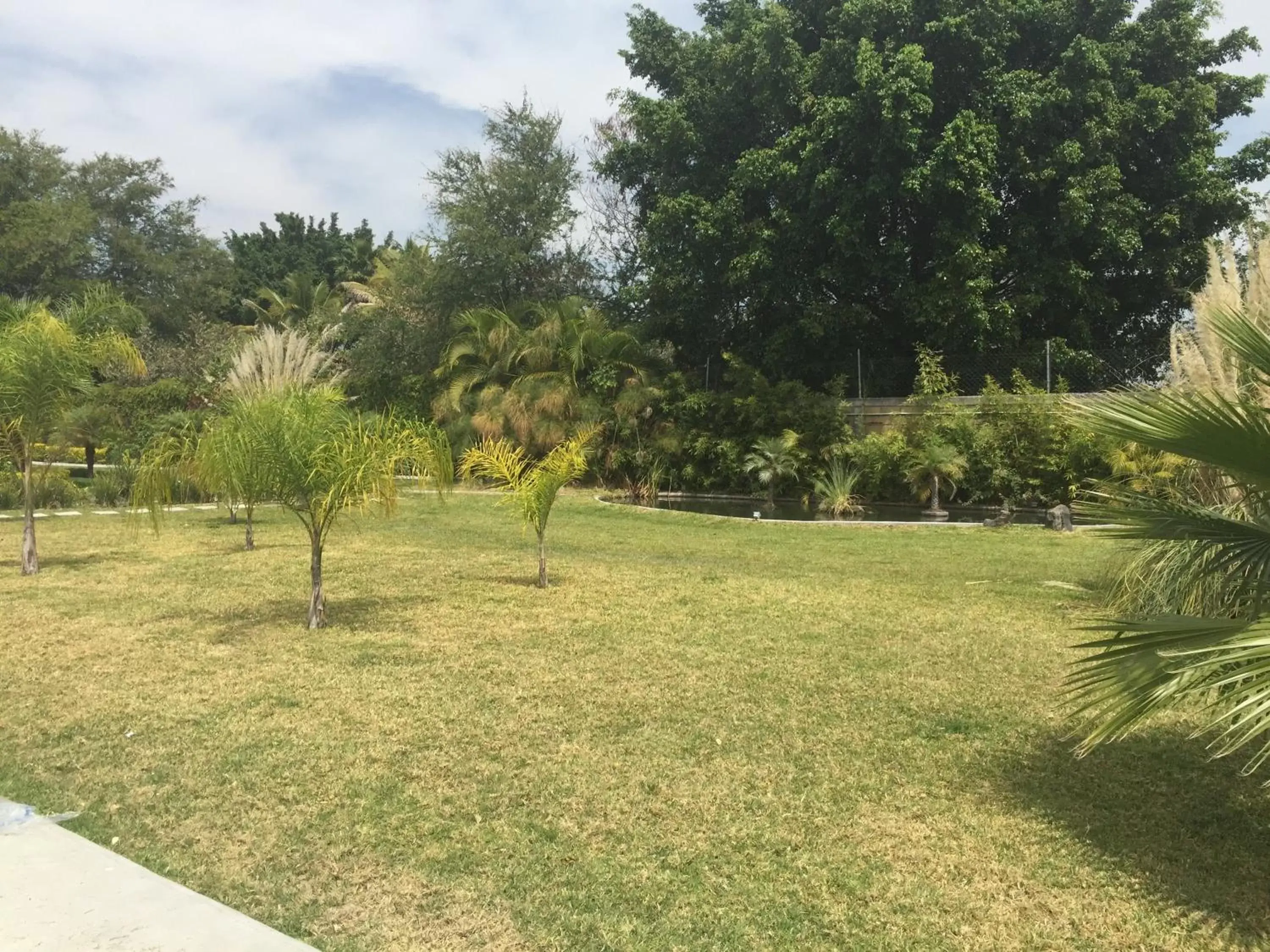 Area and facilities, Garden in Quinta Souffle