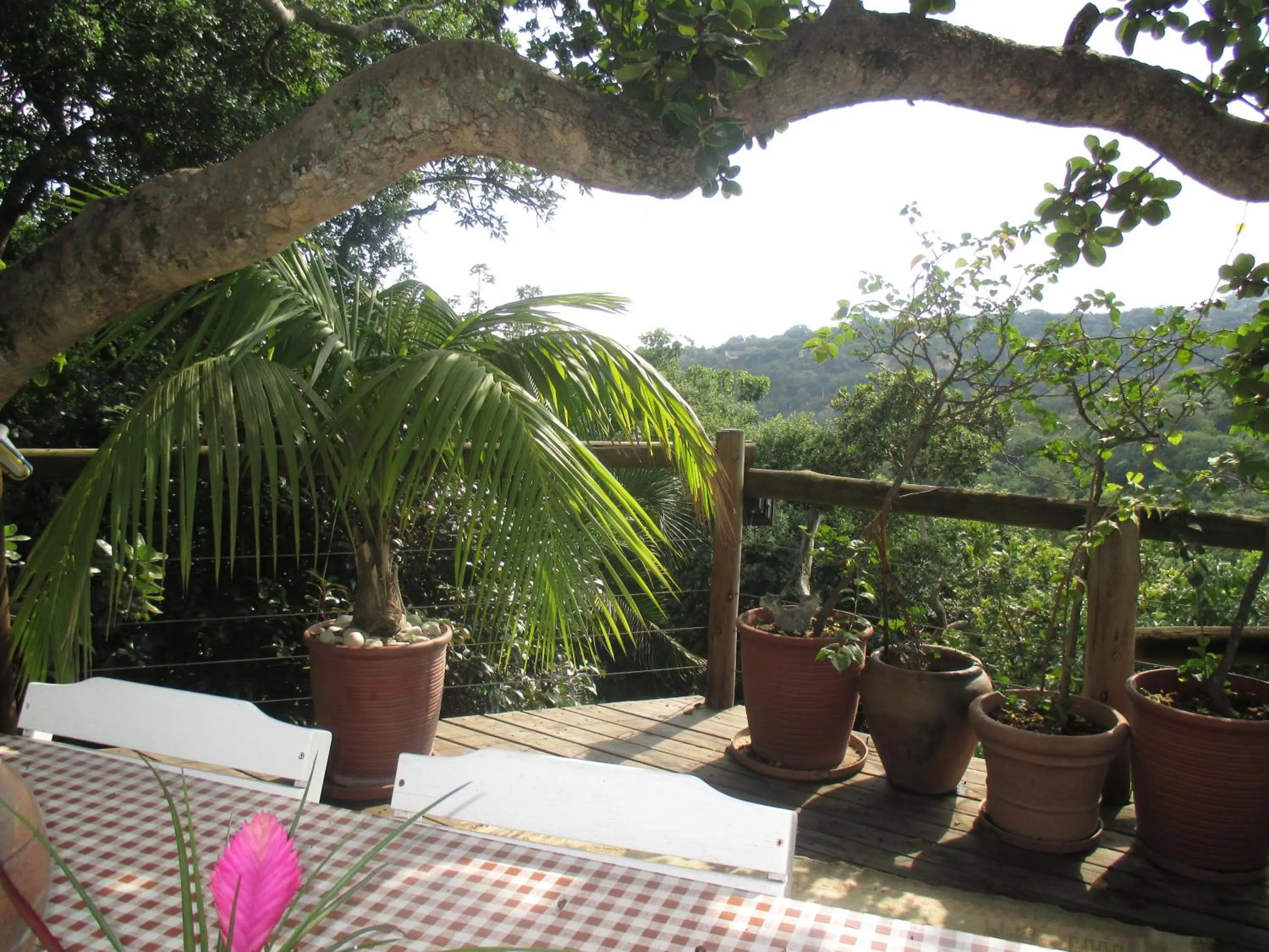 Balcony/Terrace in Utopia in Africa Guest Villa
