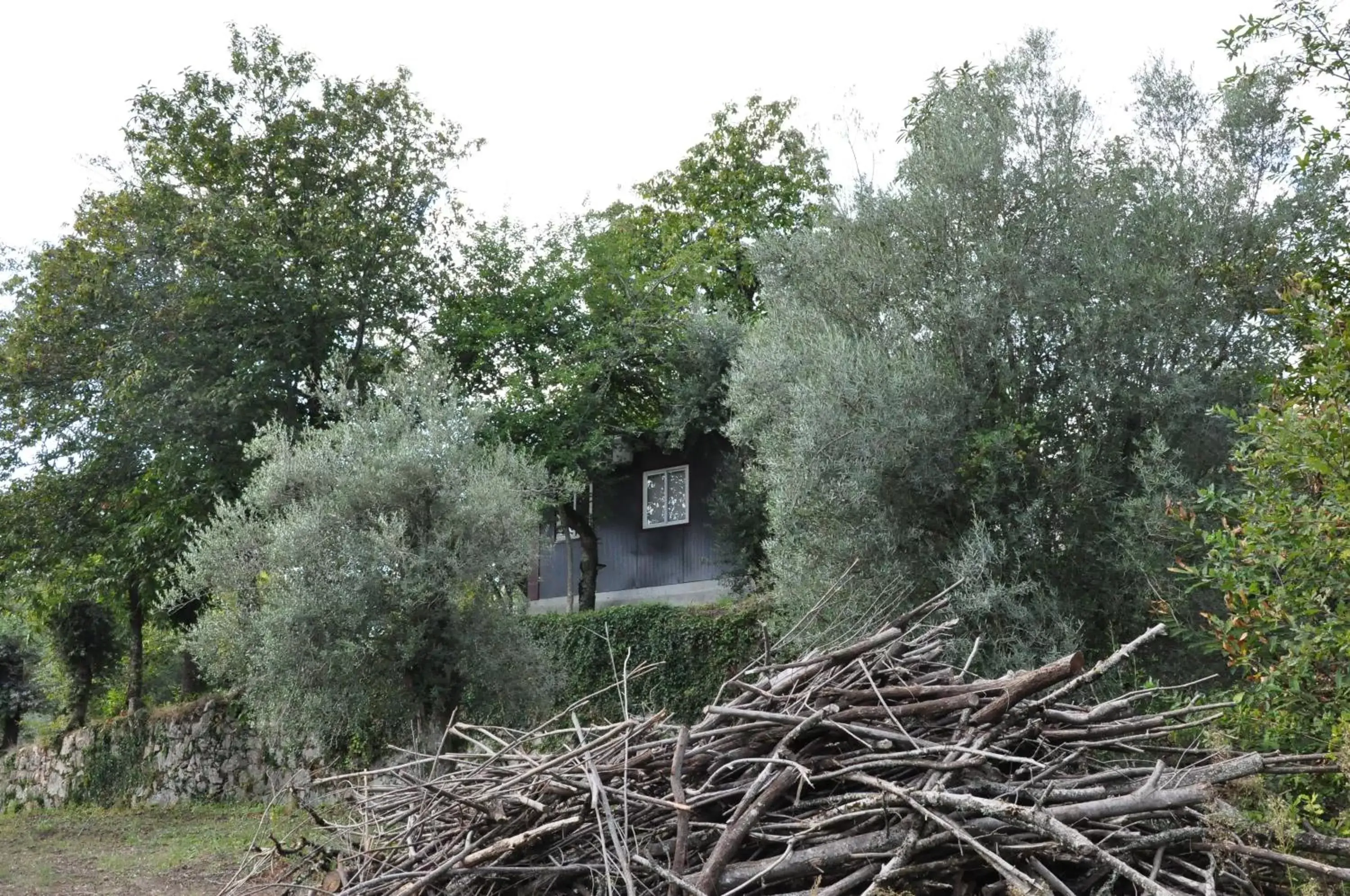 Garden, Property Building in Hotel Rural de Charme Maria da Fonte