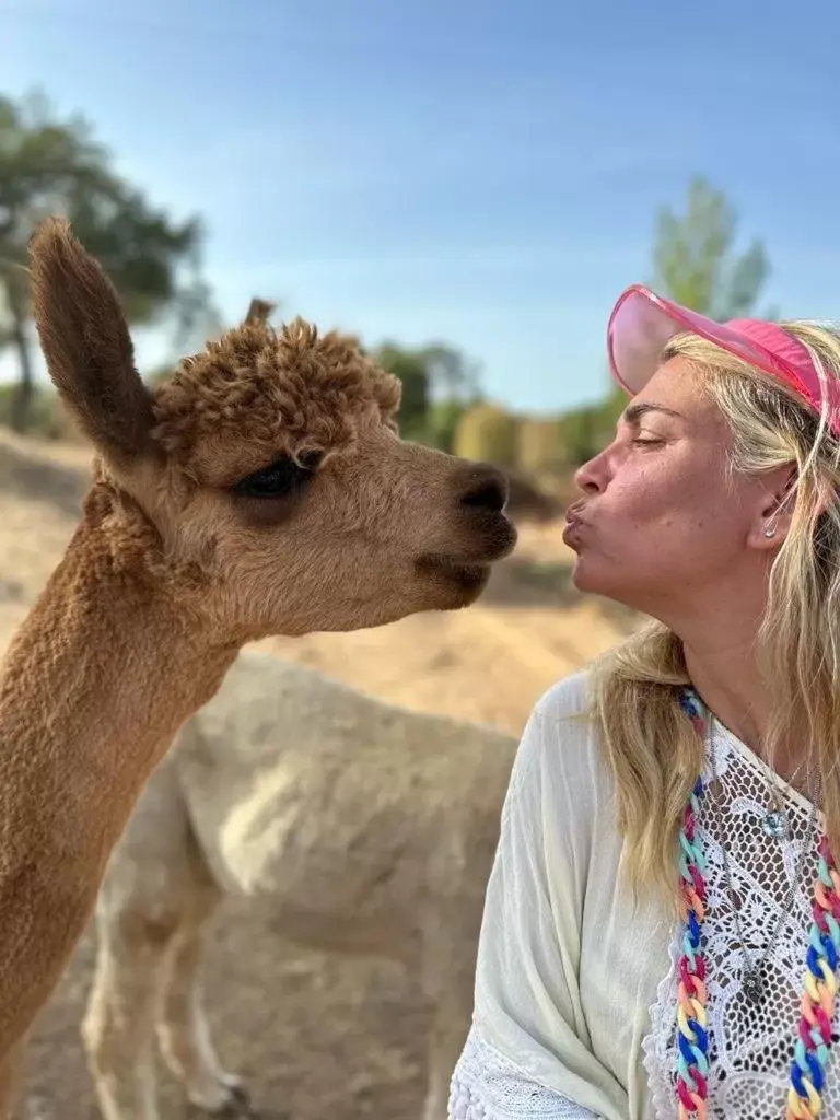 Other Animals in Luxury room at Mama-Adama Alpaca Farm