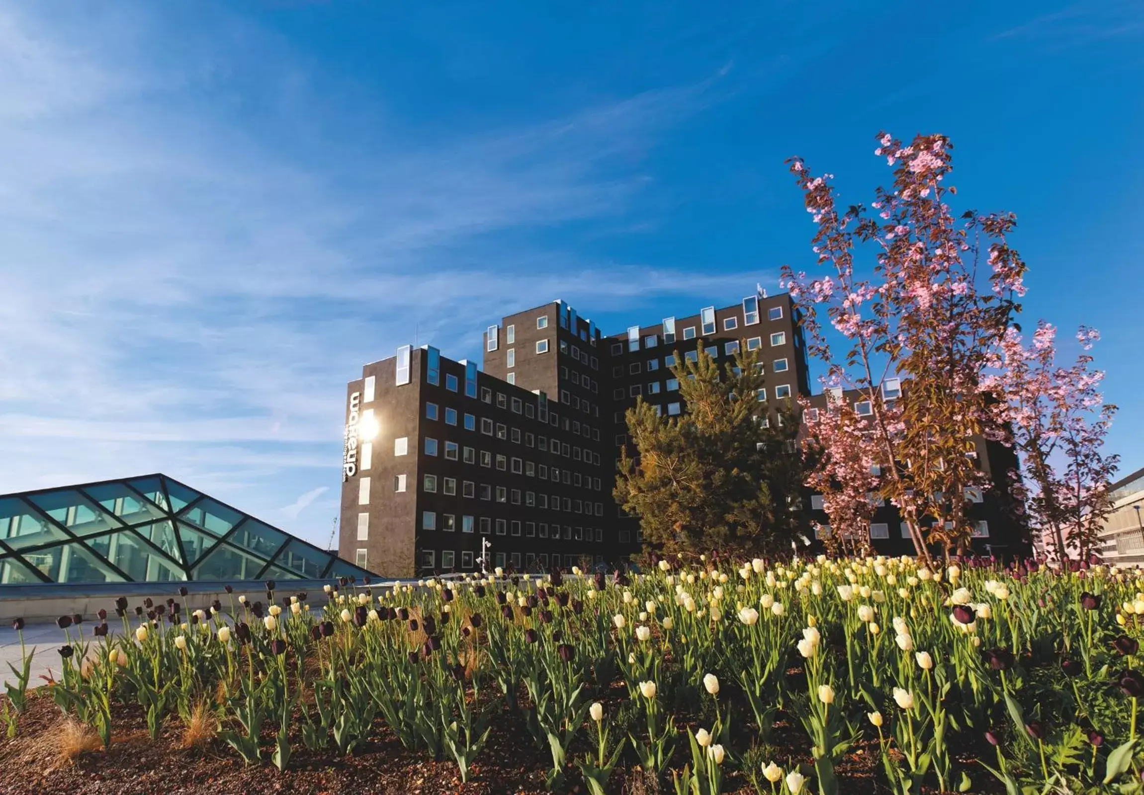 Facade/entrance in Wakeup Copenhagen - Carsten Niebuhrs Gade Facade/entrance in Wakeup Copenhagen - Carsten Niebuhrs Gade