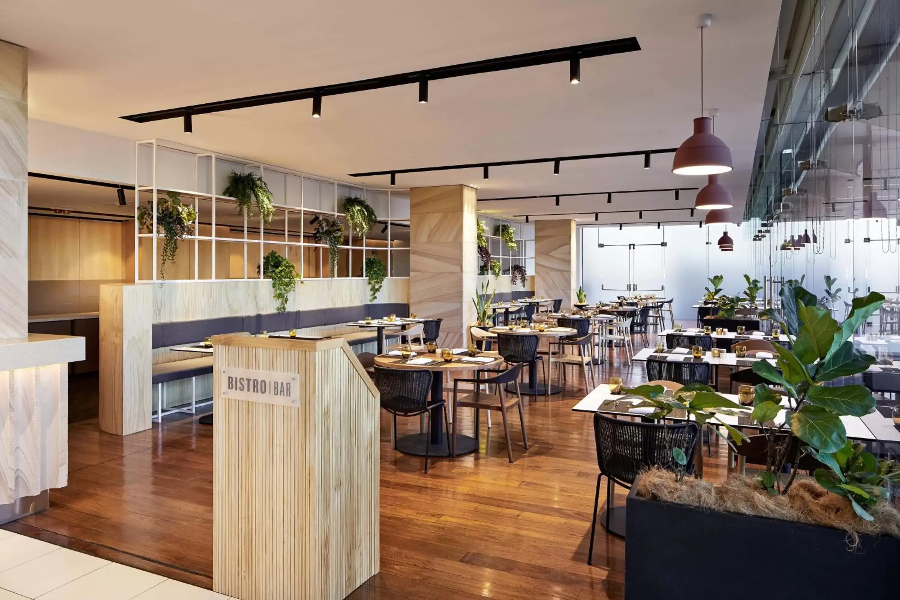 Restaurant/Places to Eat in Courtyard by Marriott Sydney-North Ryde