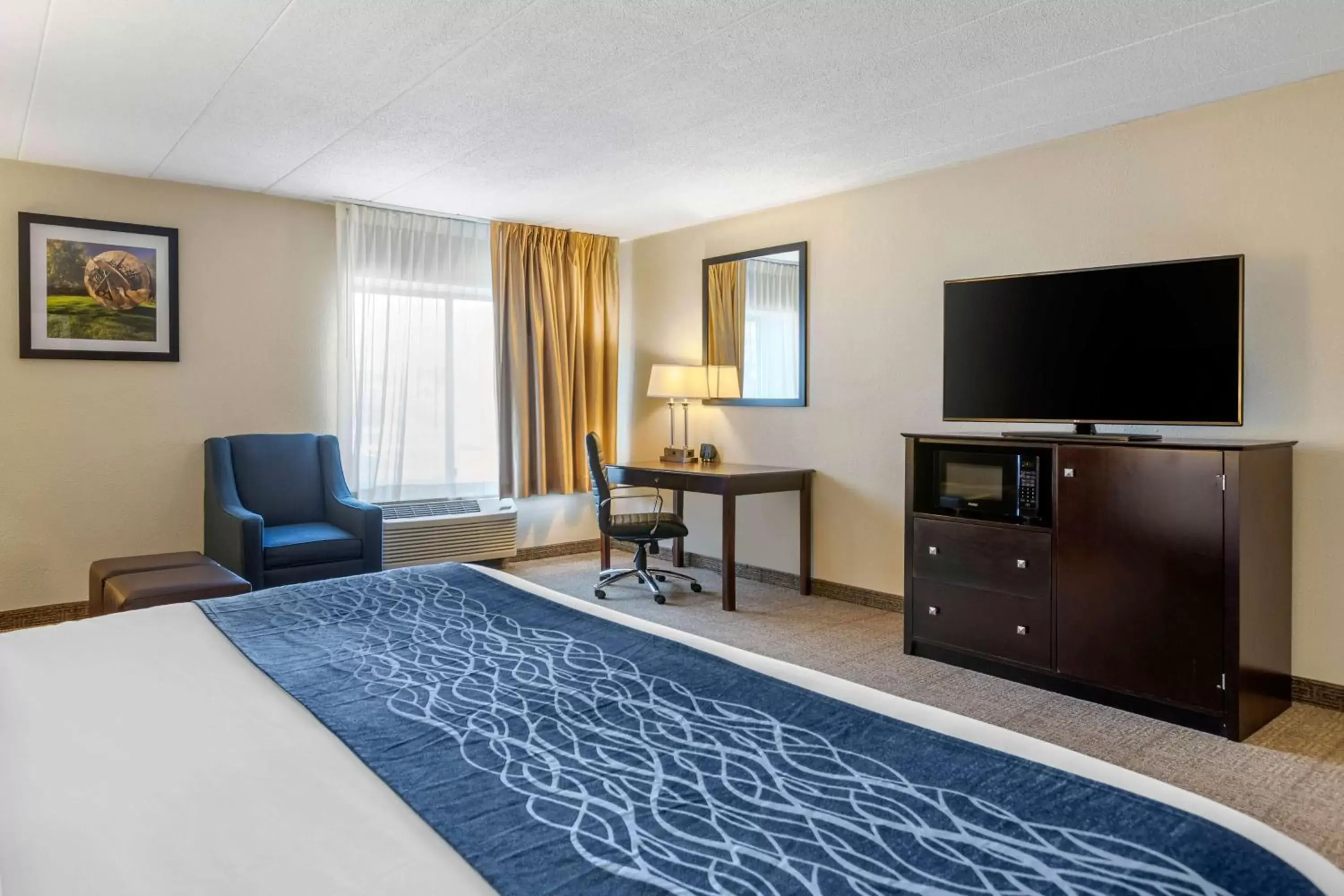 Photo of the whole room, TV/Entertainment Center in Comfort Inn Grand Rapids Airport