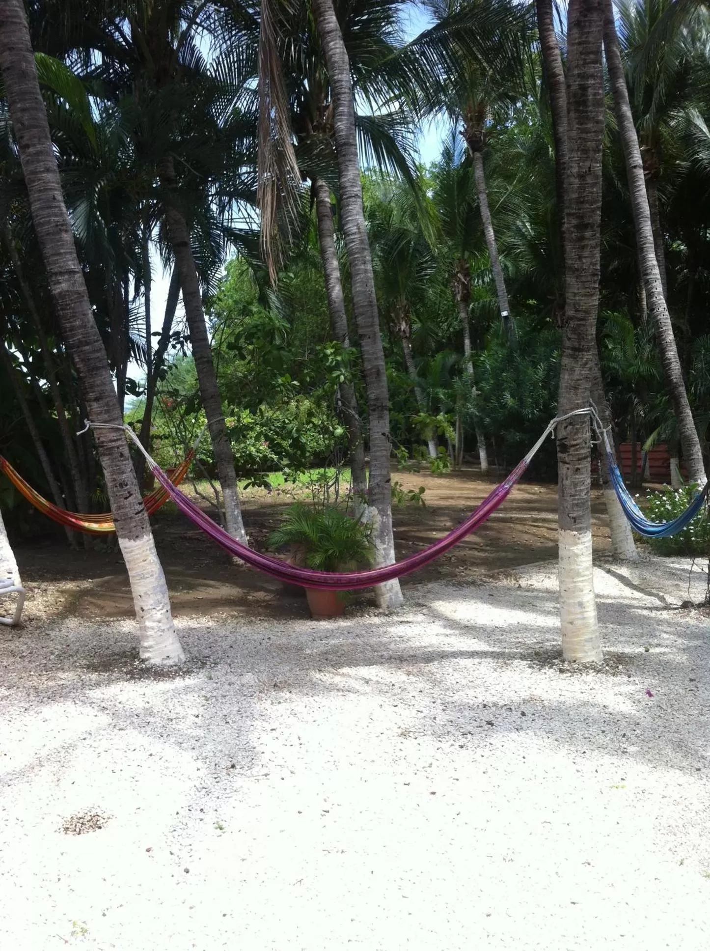 Seating area in Hotel Laguna del Cocodrilo