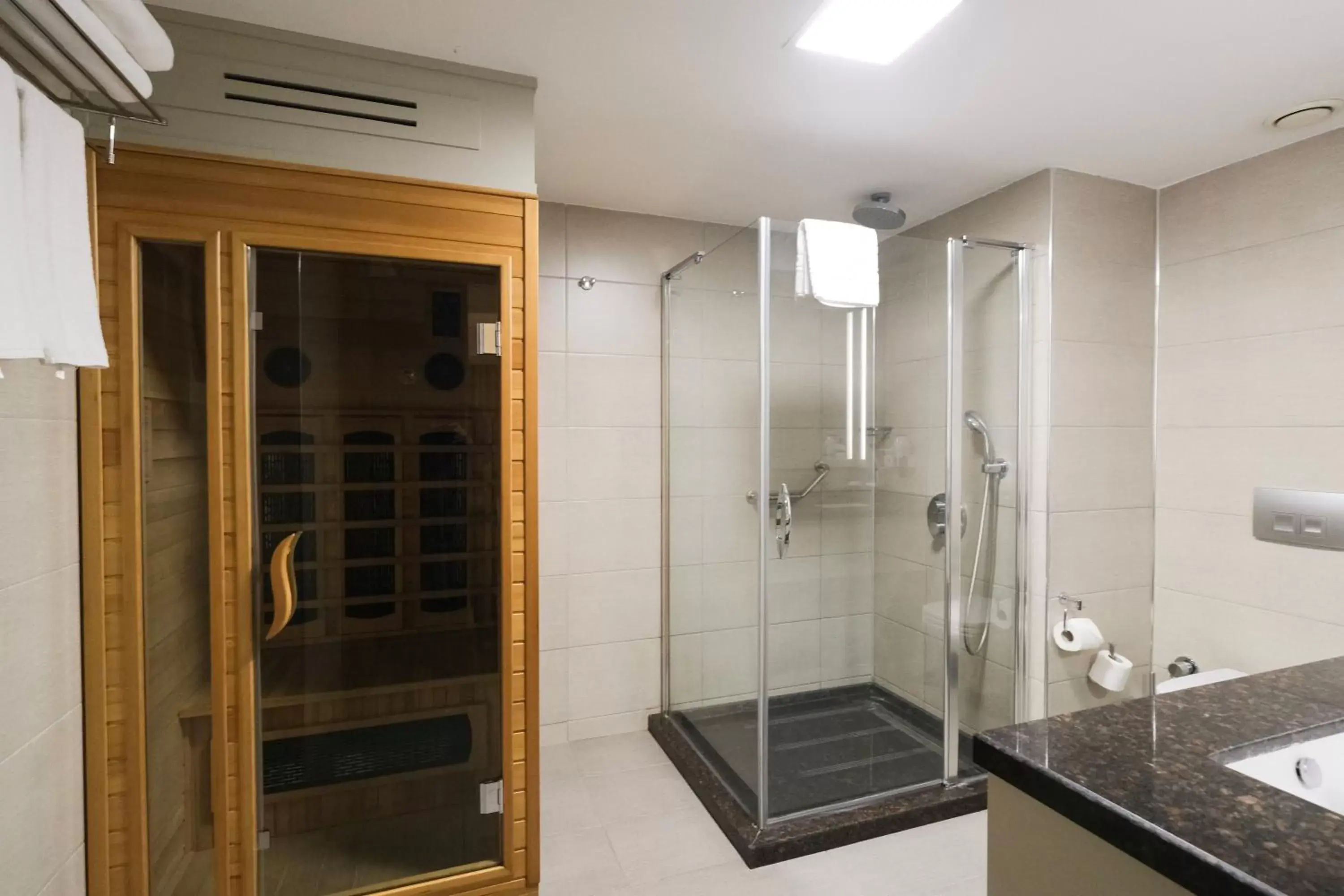 Shower, Bathroom in Ramada Plaza By Wyndham Izmir