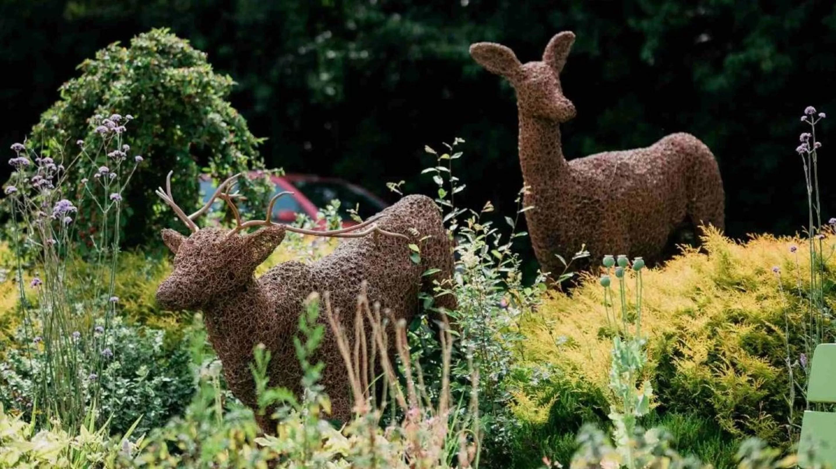 Garden in The Abbeyleix Manor Hotel