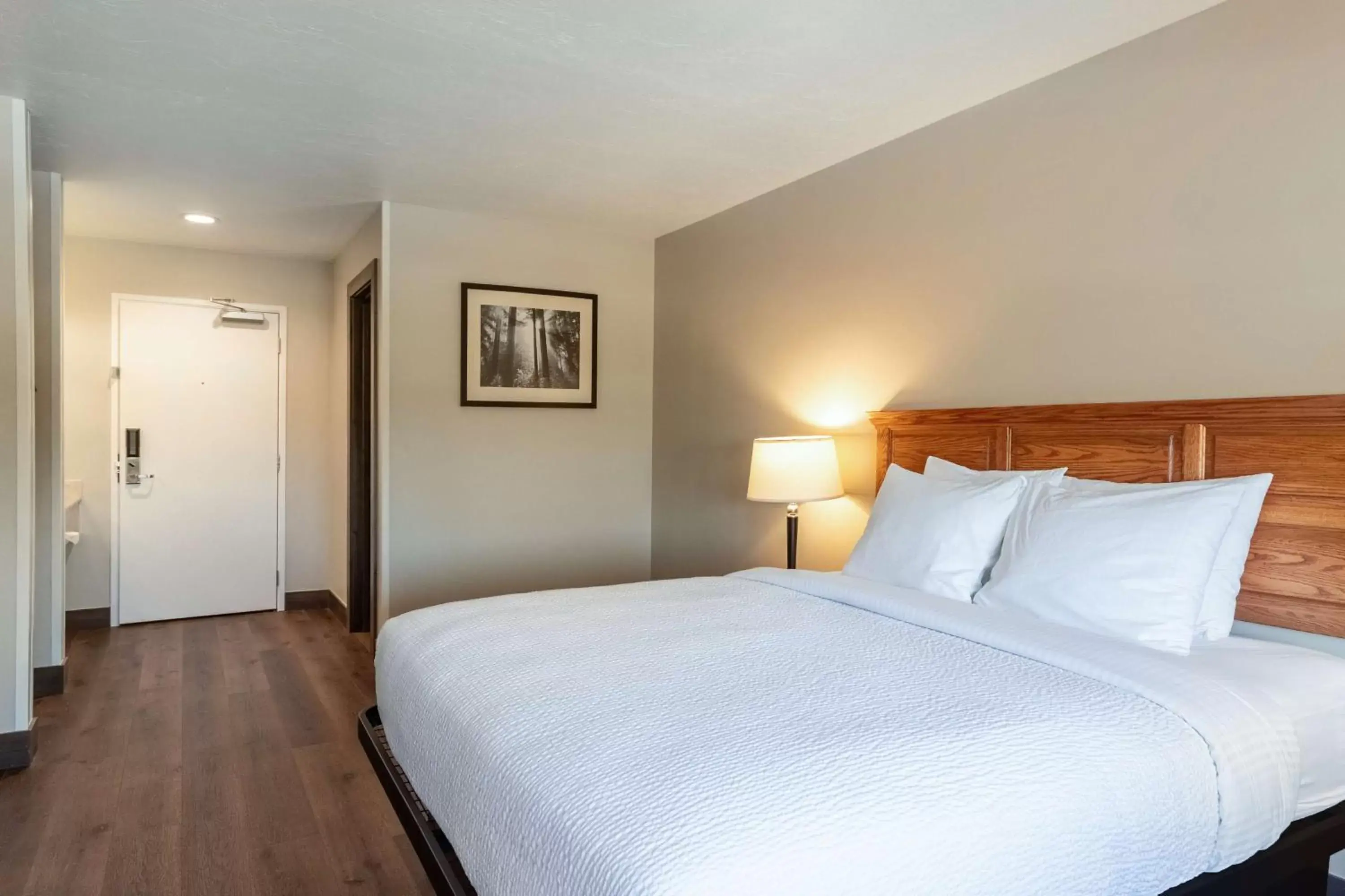 Bedroom, Bed in SureStay Plus Hotel by Best Western Rexburg