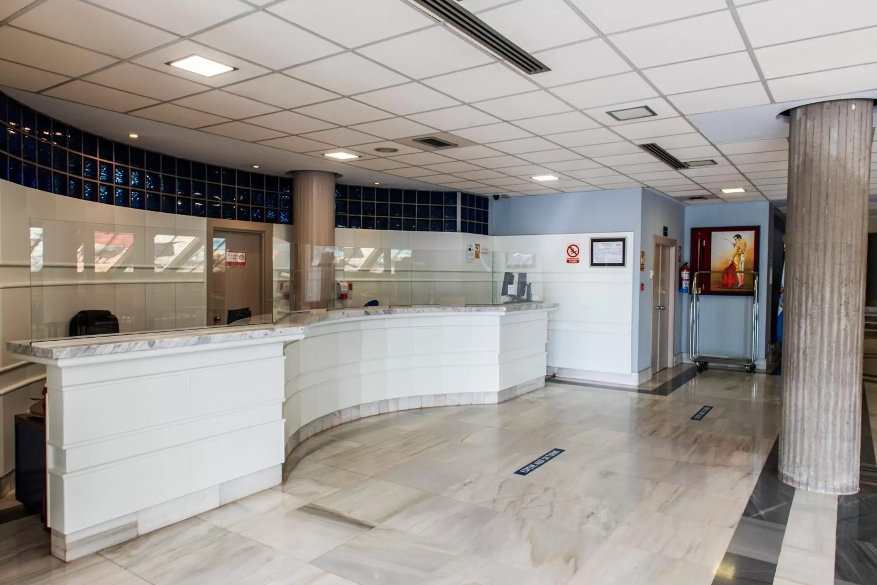 Lobby or reception, Lobby/Reception in Hotel Palacio del Mar