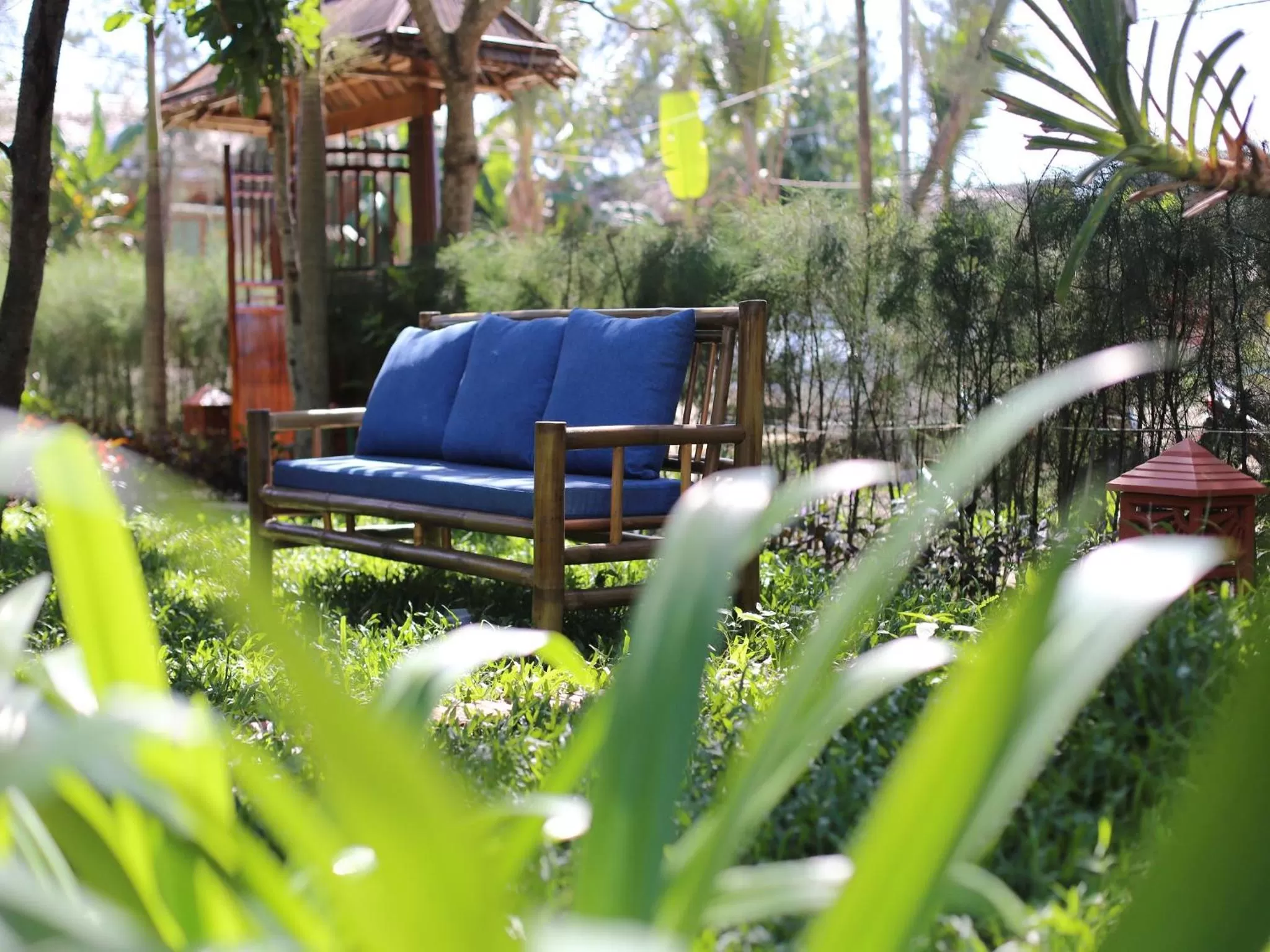 Spring in AIRA Boutique Hoi An Hotel & Spa