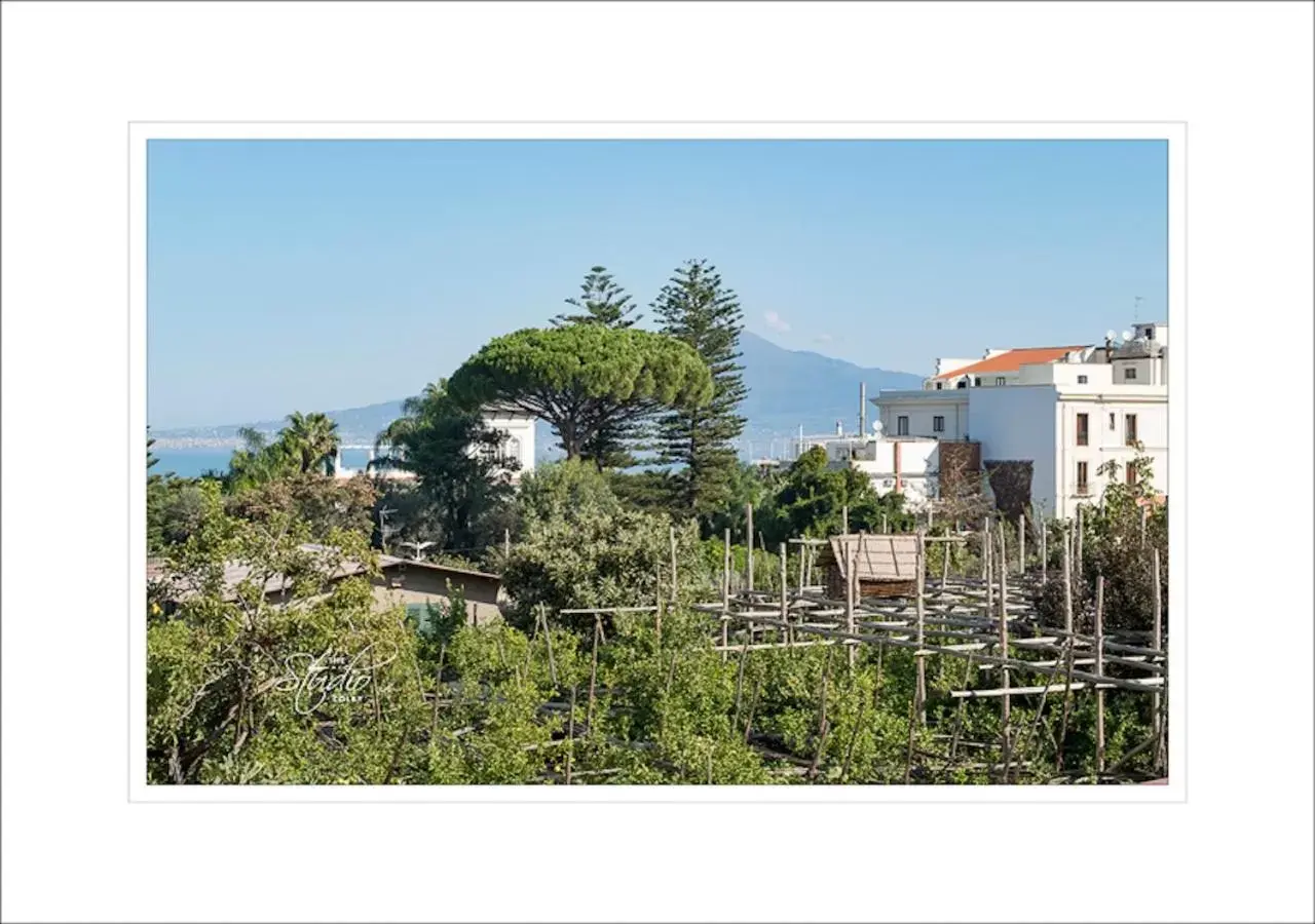 View (from property/room) in Orsola Maison