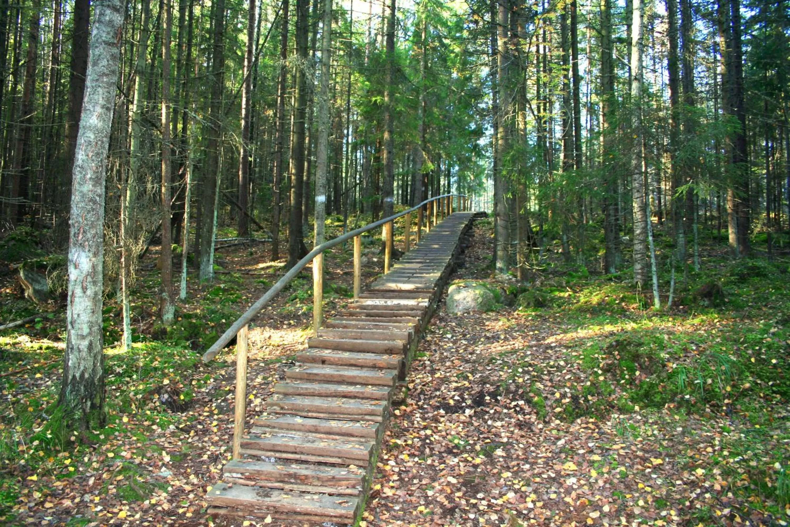 Hiking in Santalahti Resort Cottages & Villas