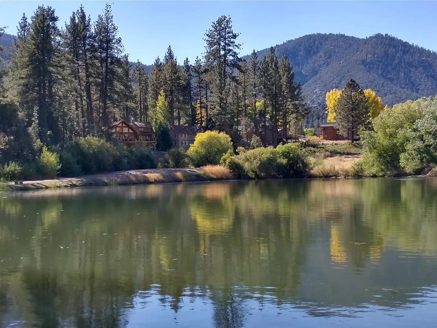 Natural landscape in The Old Bear BnB