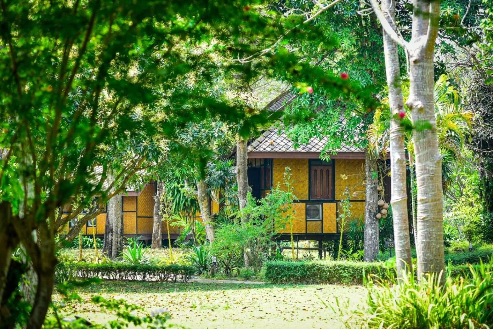 Natural landscape in Baan Krating Pai Resort - SHA Plus
