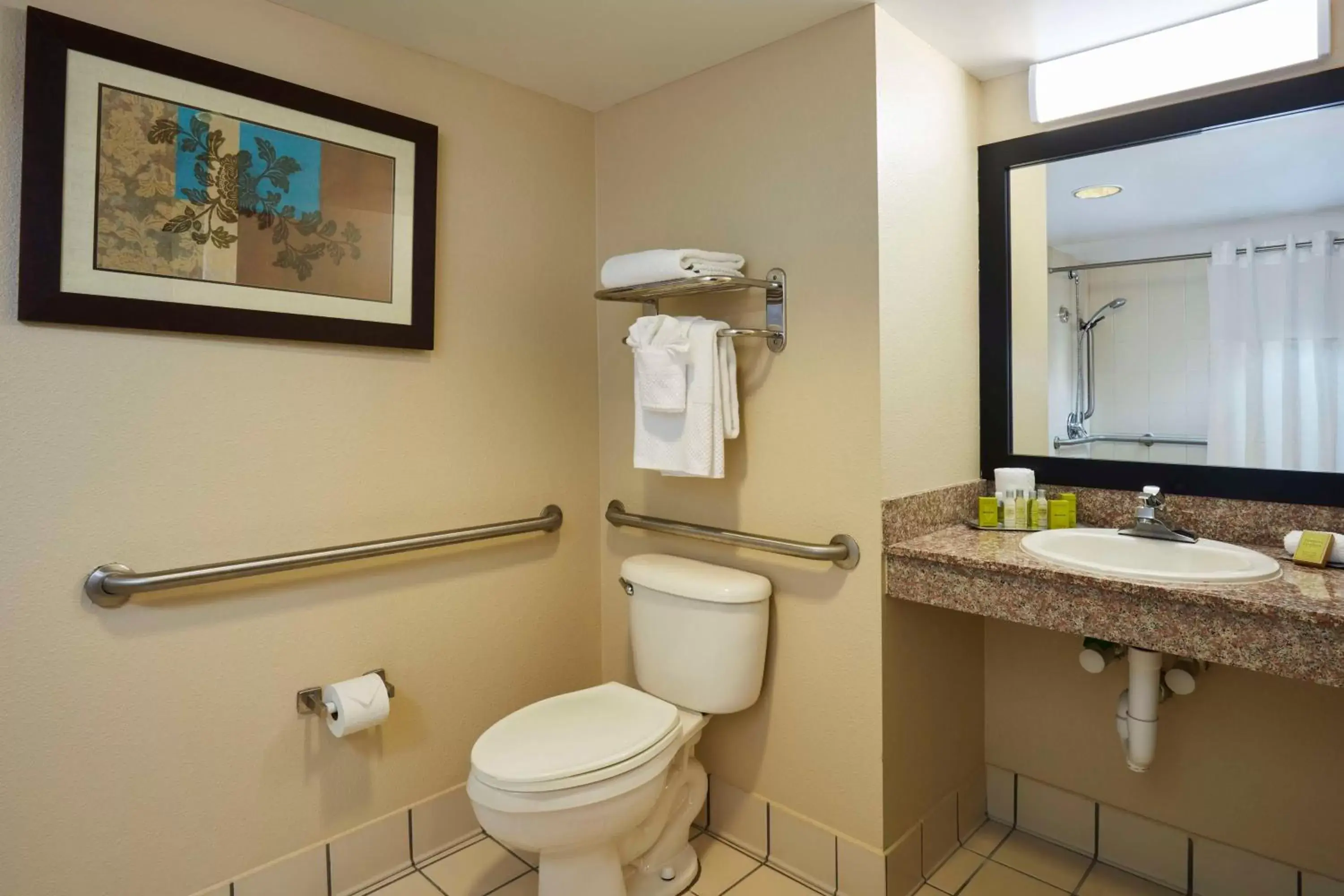 Bathroom in DoubleTree by Hilton Hotel Orlando at SeaWorld