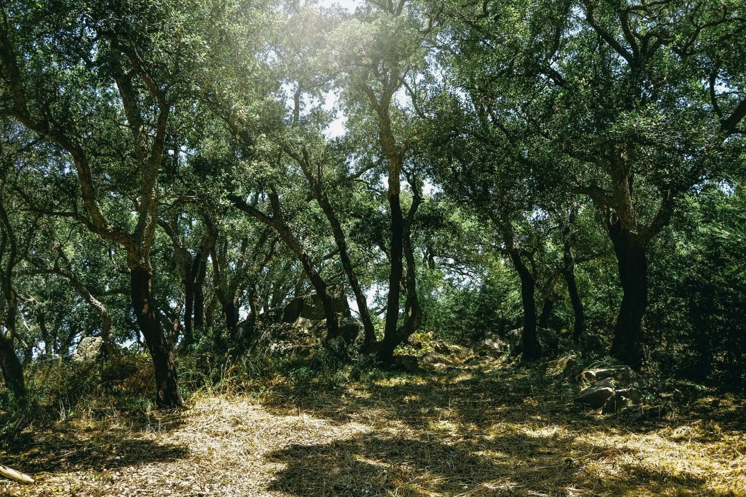 Natural landscape in Vallegrande Nature Resort by Geocharme