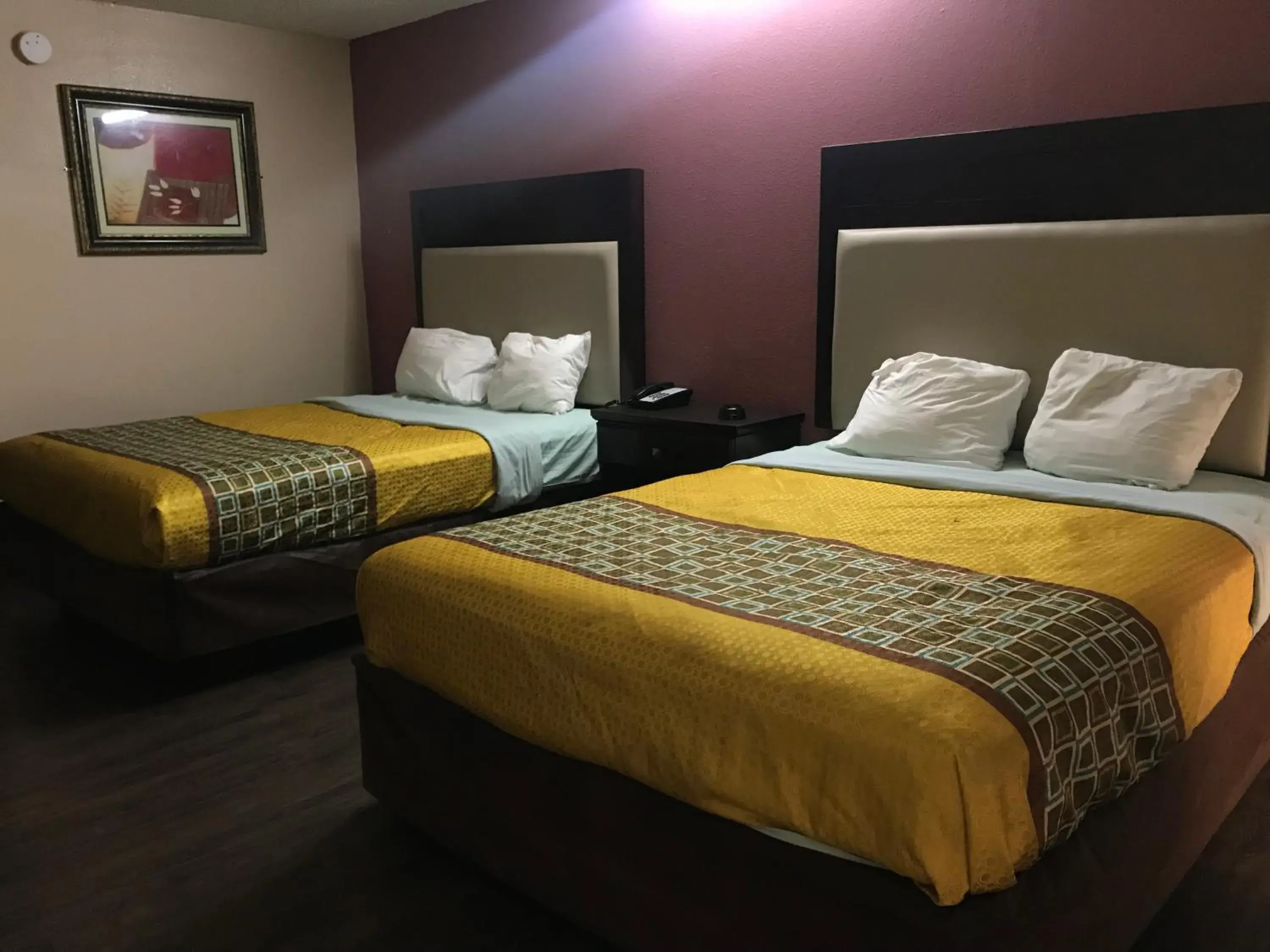 Bed in Express Inn Bed in Express Inn