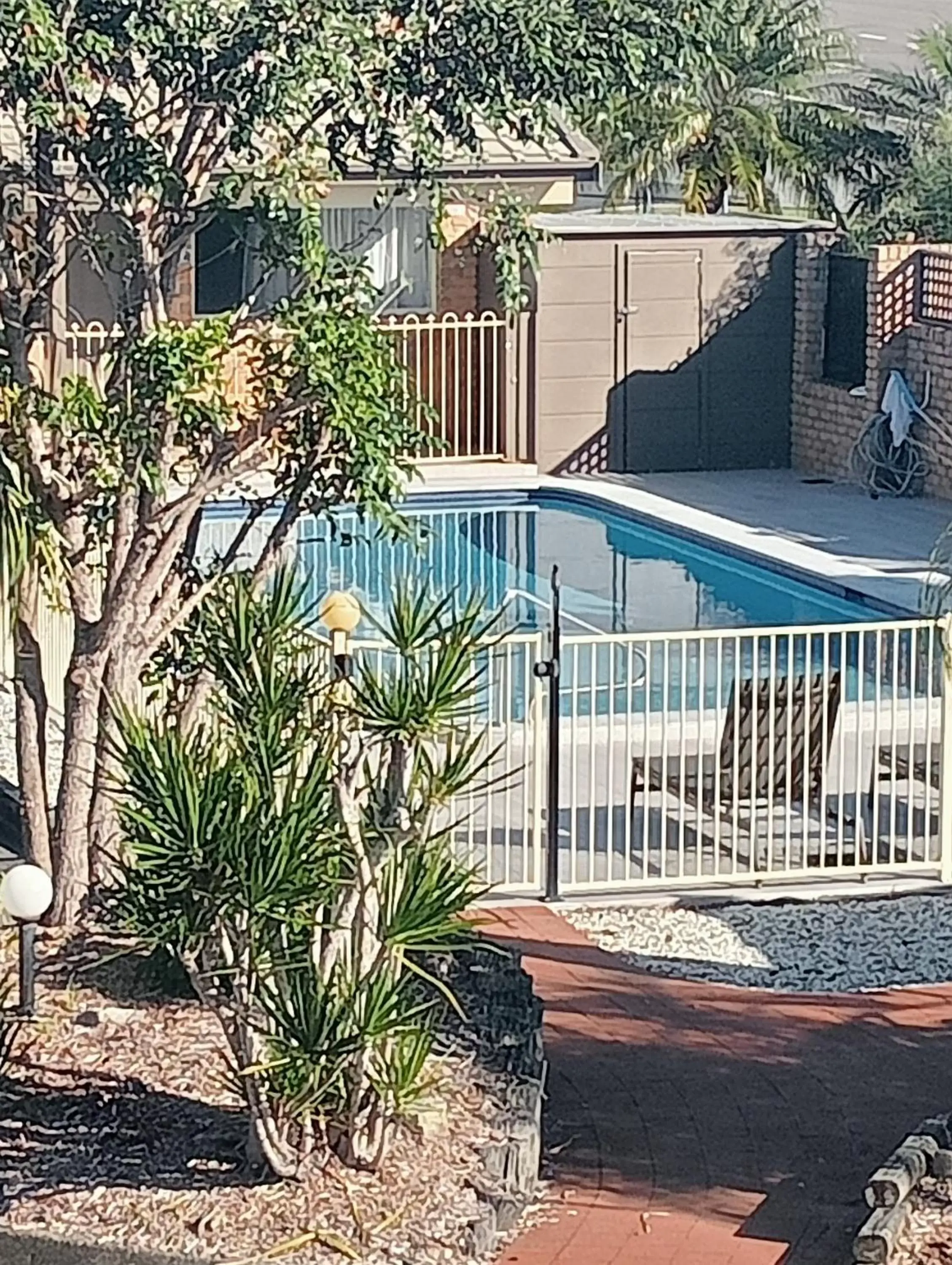 Swimming Pool in Forster Palms Motel