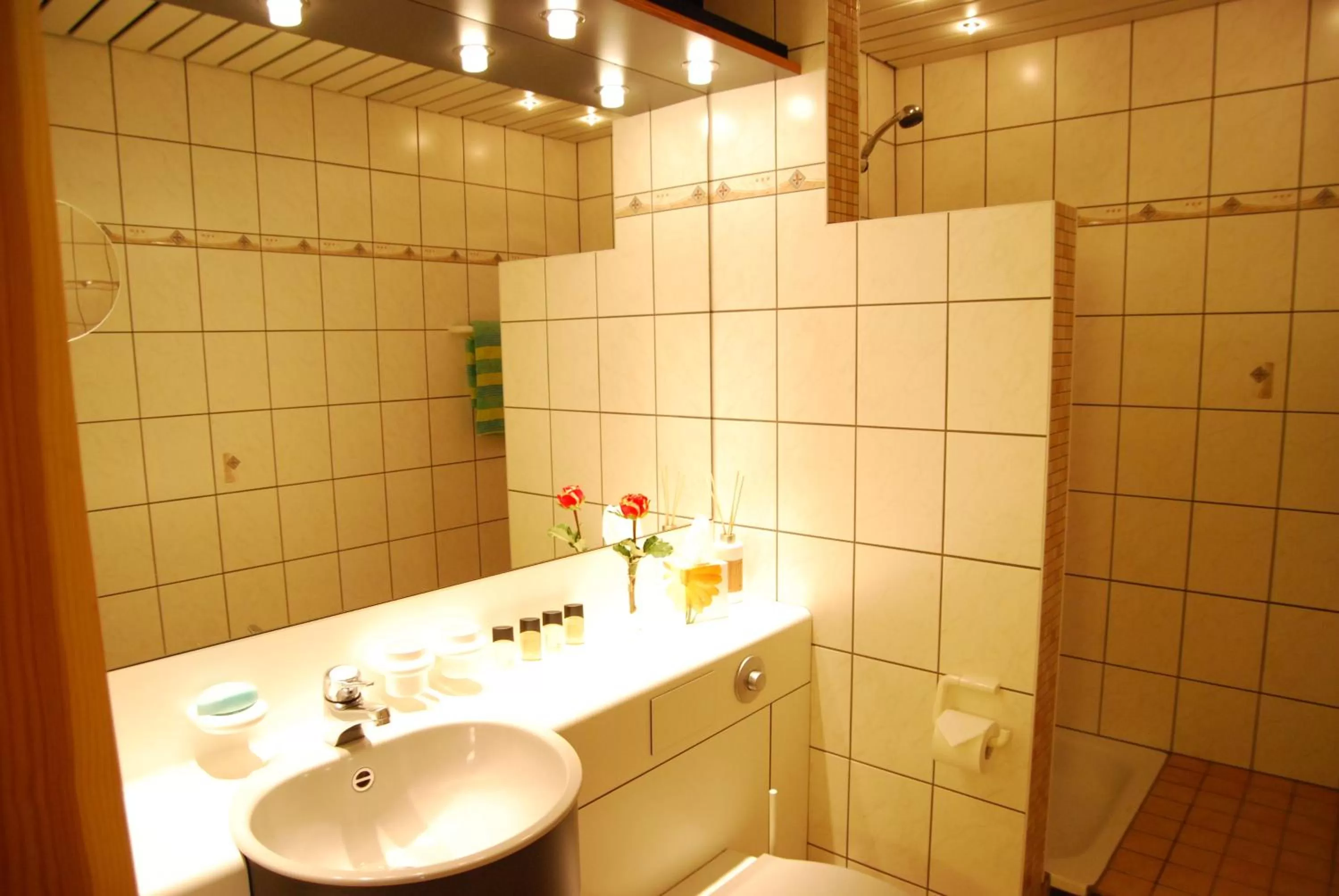 Bathroom in Hotel Central