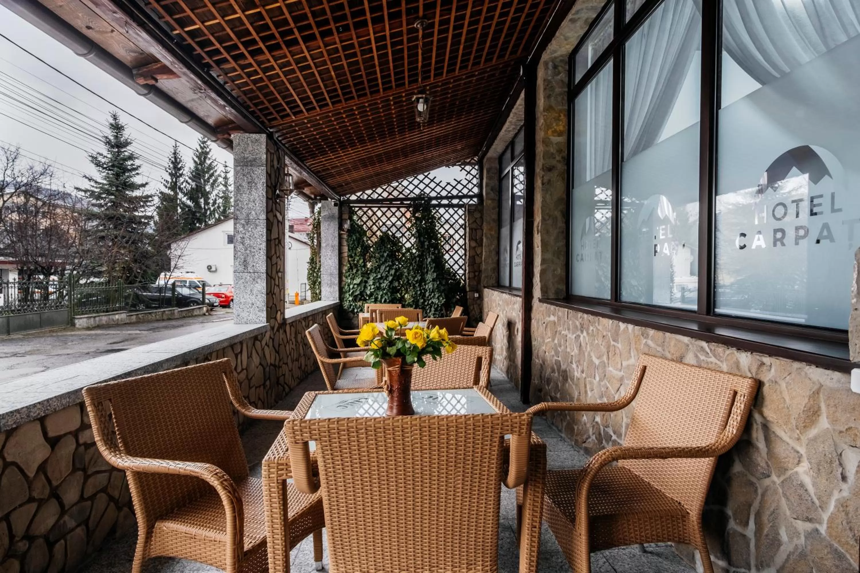 Balcony/Terrace in Hotel Carpati