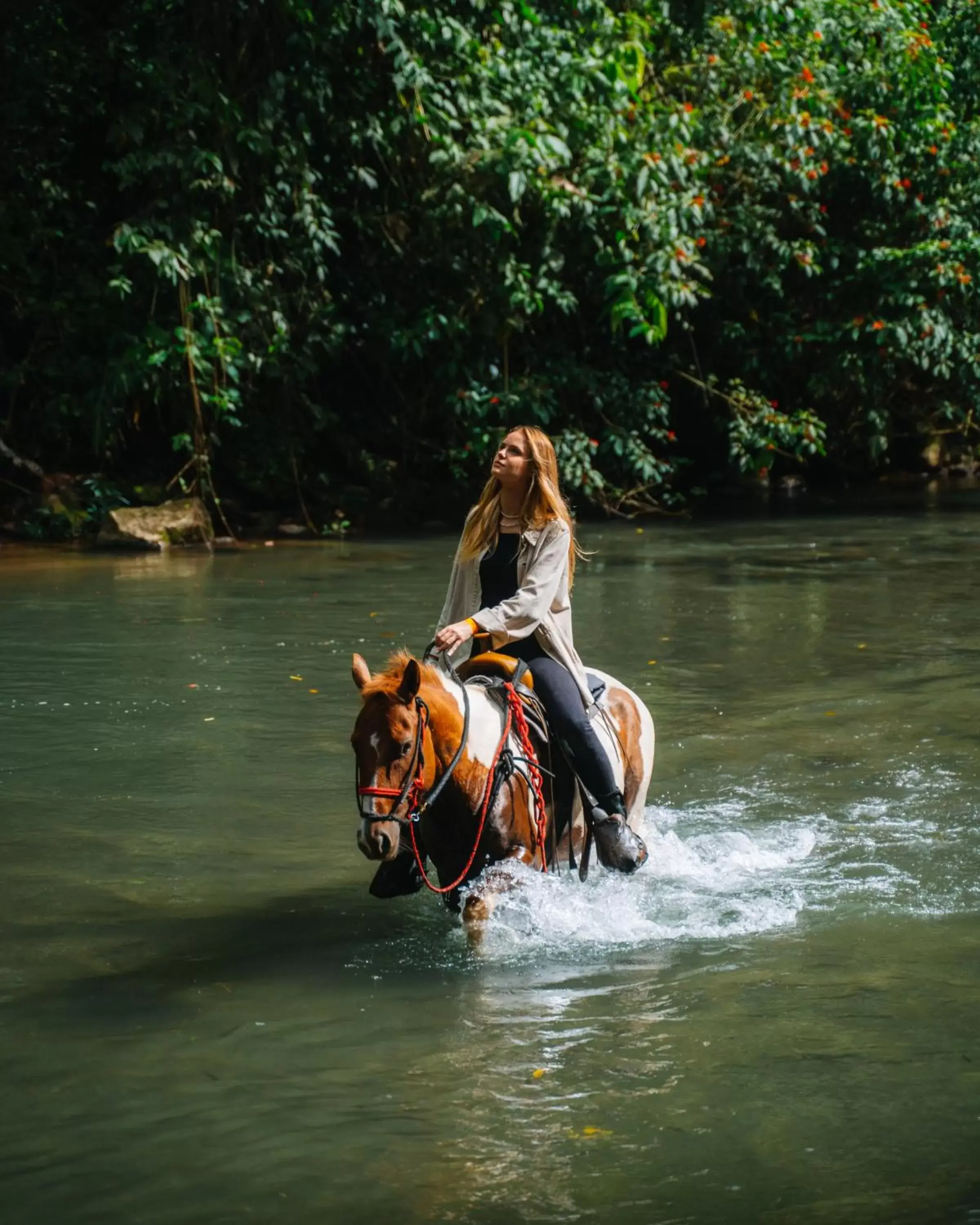 Horse-riding in Montaña de Fuego All Inclusive