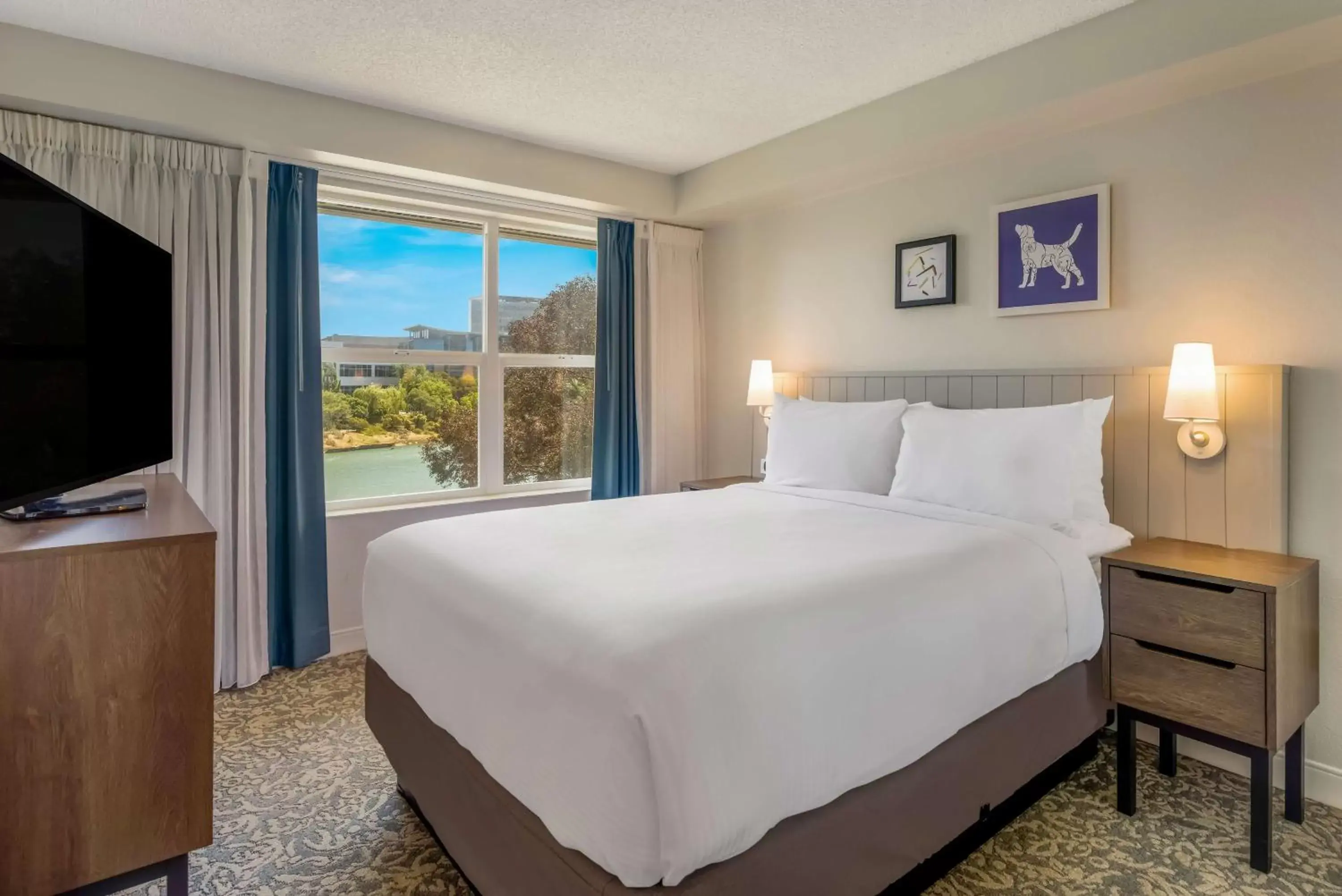 Photo of the whole room, Bed in Sonesta ES Suites San Francisco Airport Oyster Point Waterfront